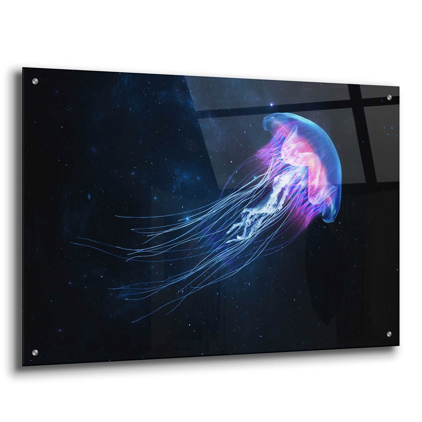 Epic Art 'Jellyfish Spacewalk' by Epic Portfolio, Acrylic Glass Wall Art,36x24