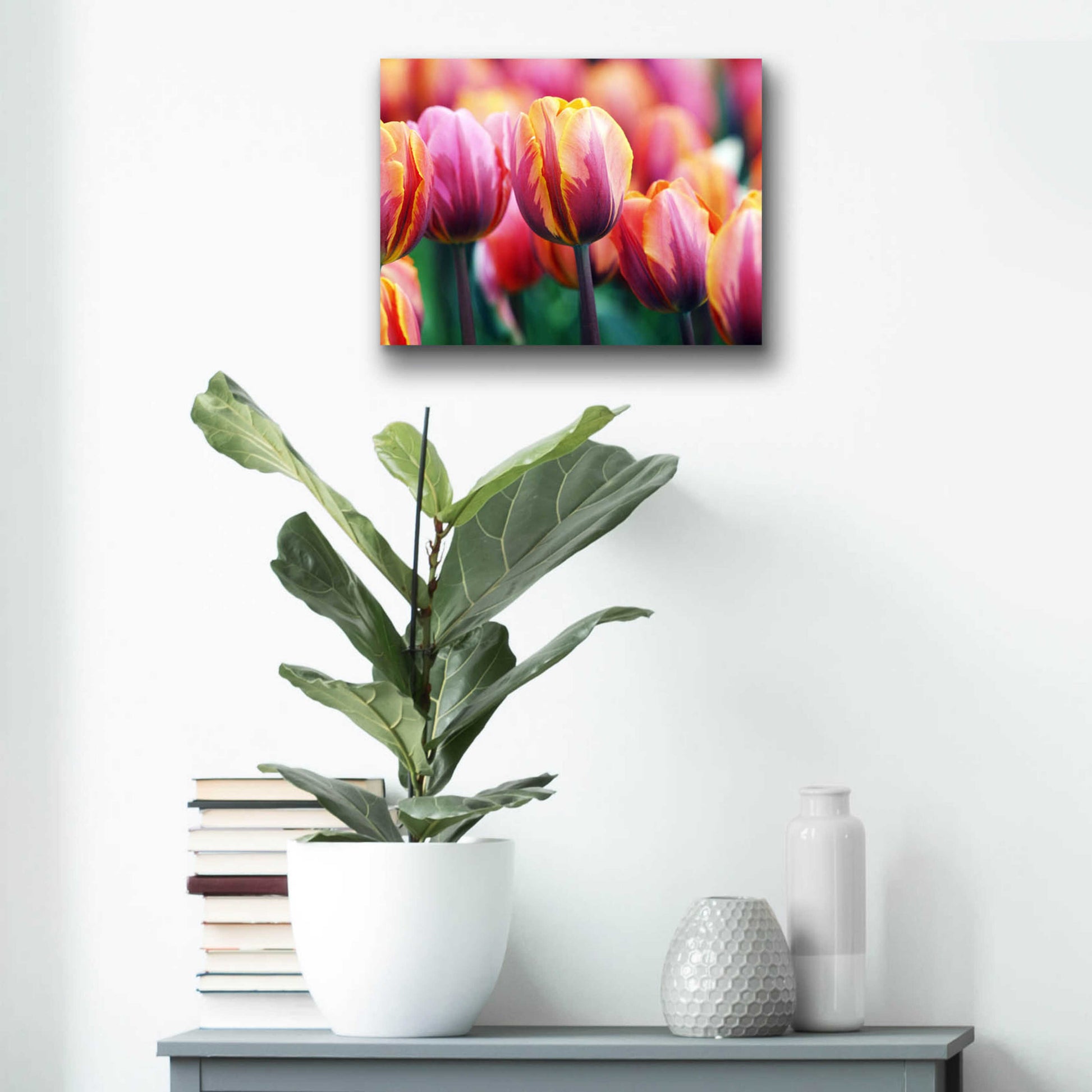 Epic Art 'Big Love Tulips' by Clive Branson, Acrylic Glass Wall Art,16x12