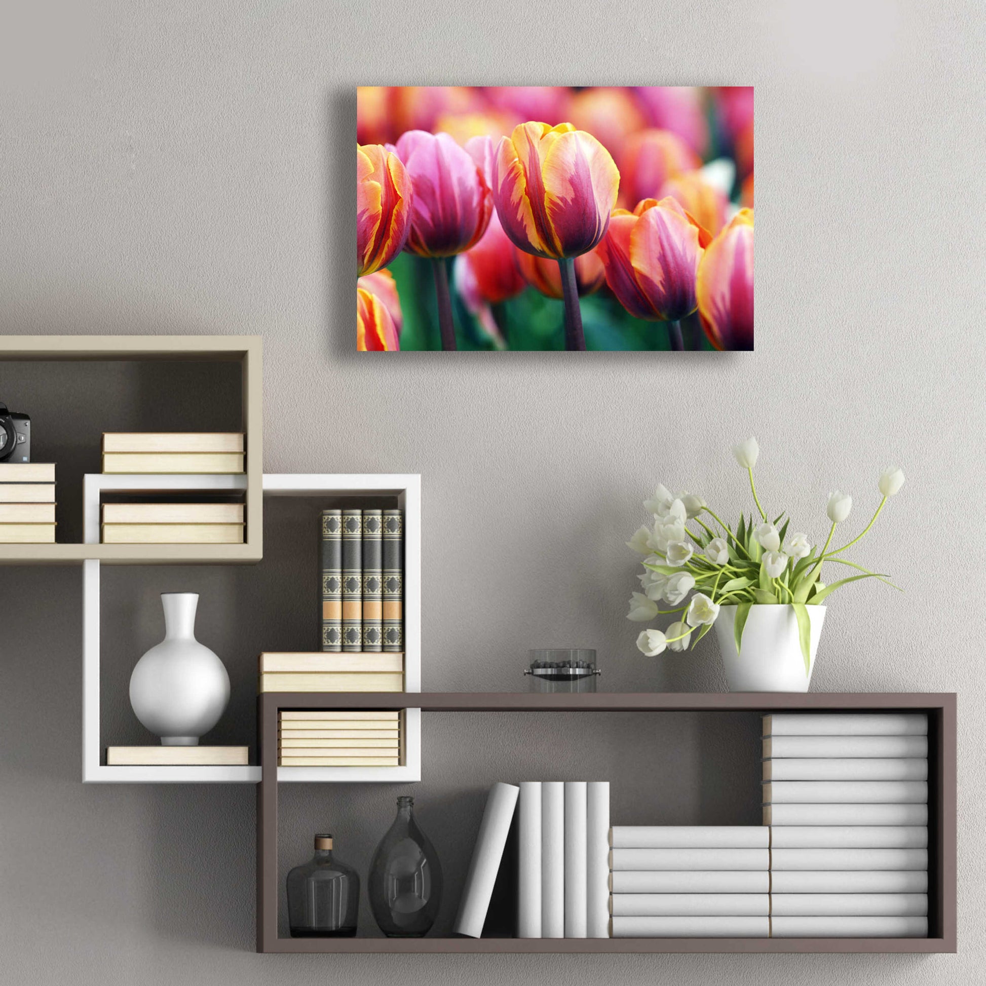 Epic Art 'Big Love Tulips' by Clive Branson, Acrylic Glass Wall Art,24x16