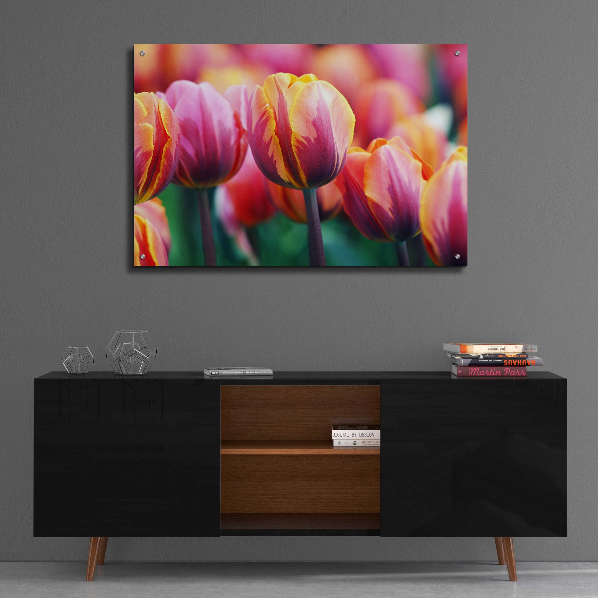 Epic Art 'Big Love Tulips' by Clive Branson, Acrylic Glass Wall Art,36x24