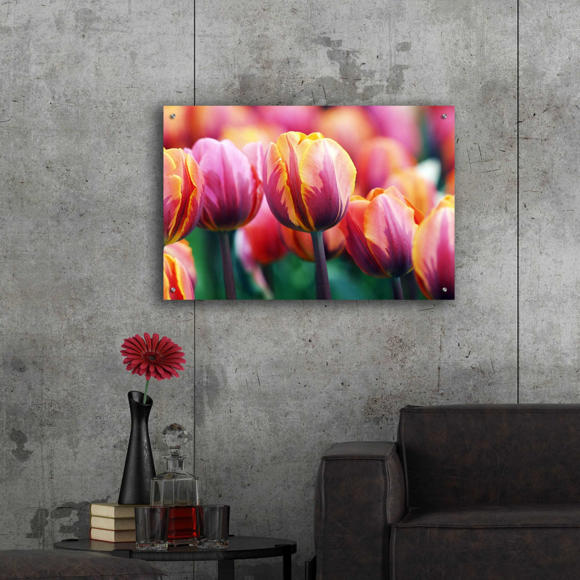 Epic Art 'Big Love Tulips' by Clive Branson, Acrylic Glass Wall Art,36x24