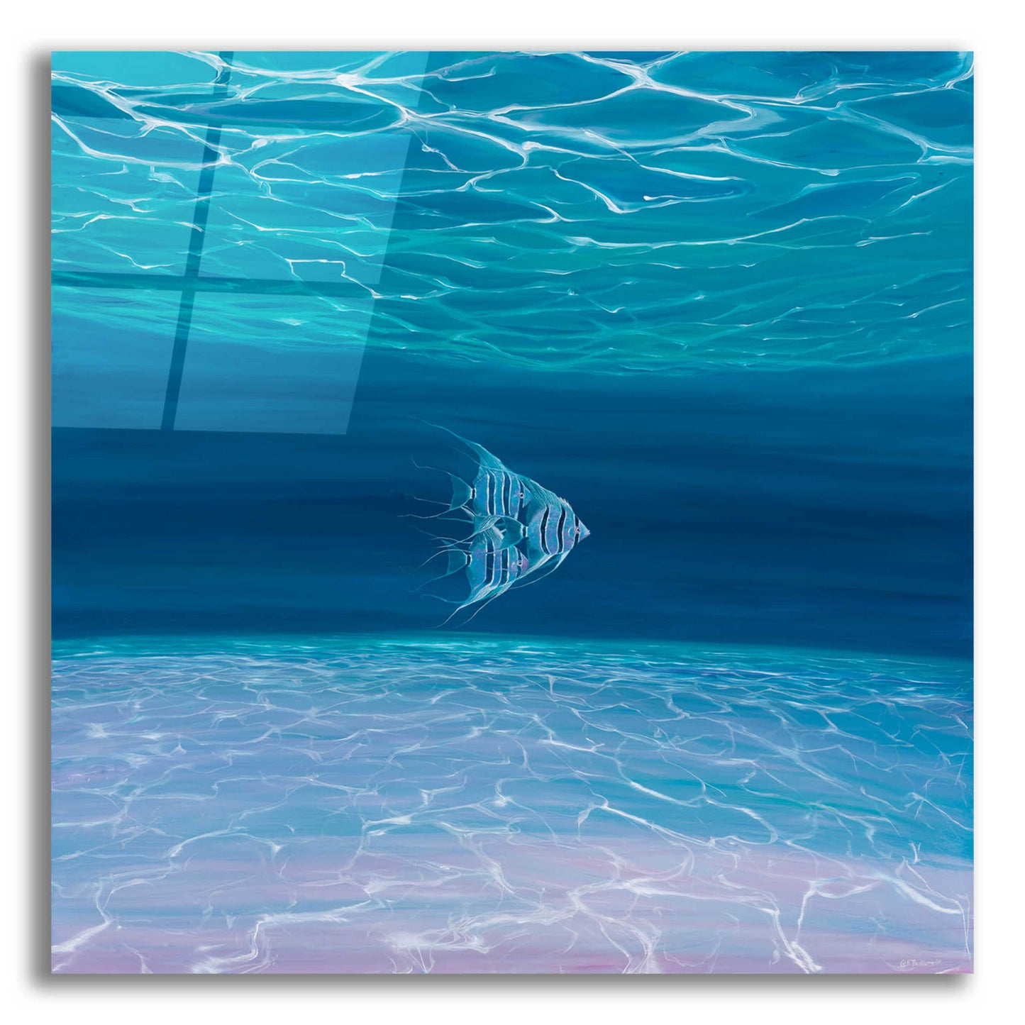 Epic Art 'Blue Angels Blue Sea' by Gill Bustamante, Acrylic Glass Wall Art,12x12