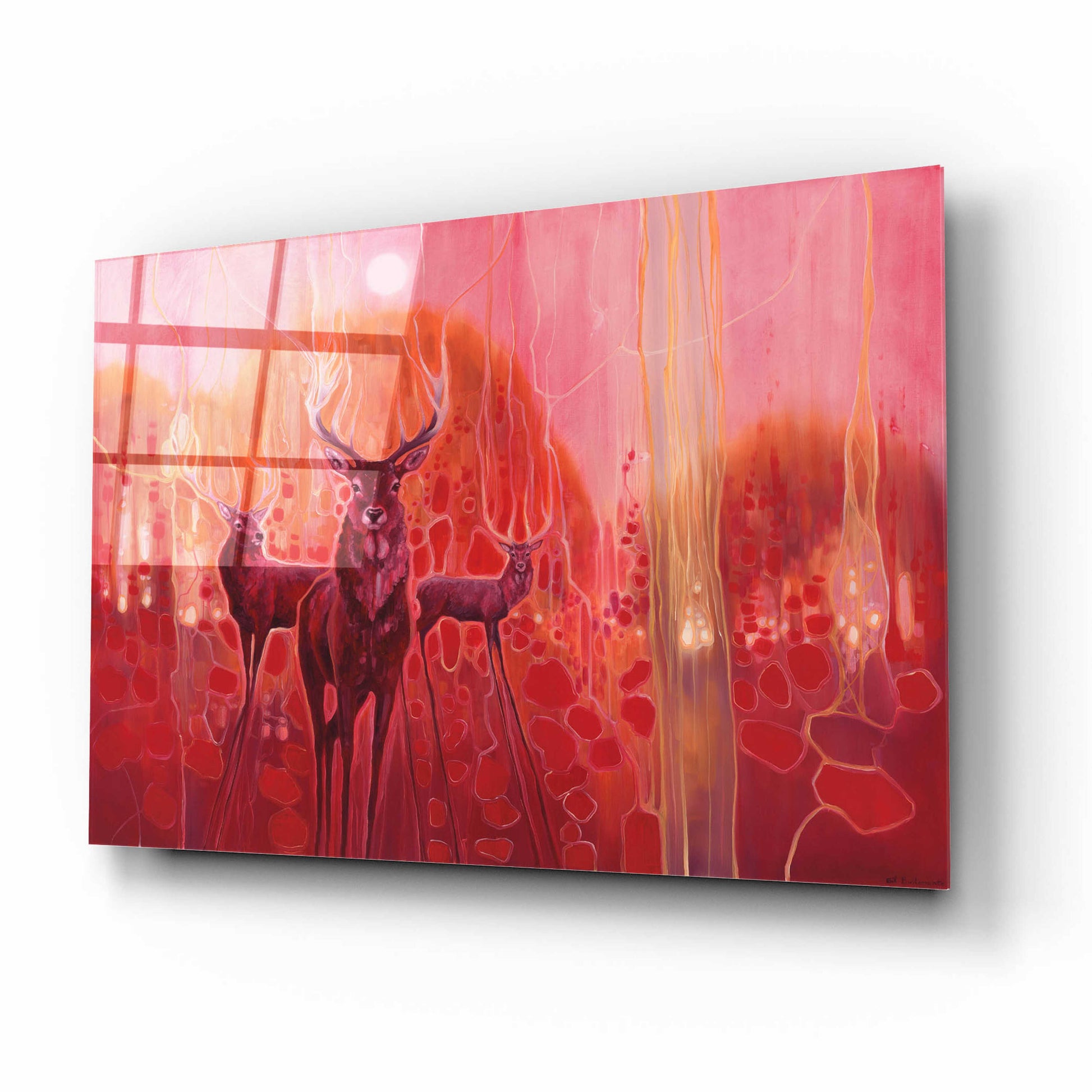 Epic Art 'Red Magic' by Gill Bustamante, Acrylic Glass Wall Art,16x12