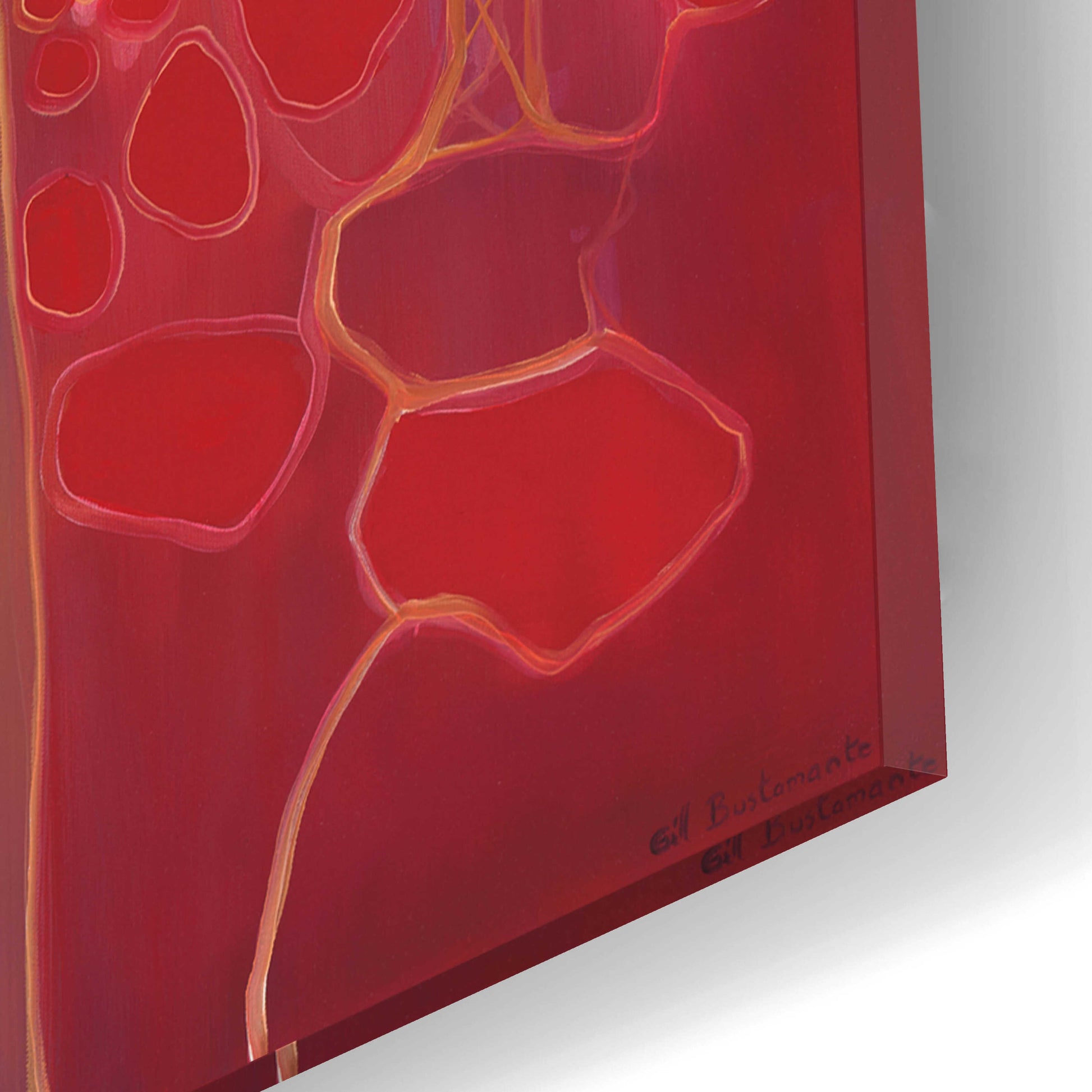 Epic Art 'Red Magic' by Gill Bustamante, Acrylic Glass Wall Art,16x12