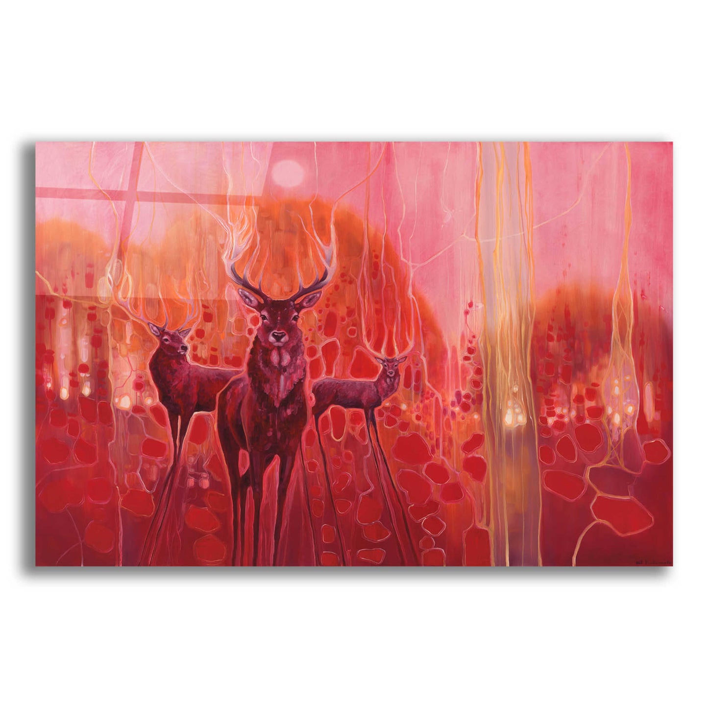 Epic Art 'Red Magic' by Gill Bustamante, Acrylic Glass Wall Art,16x12