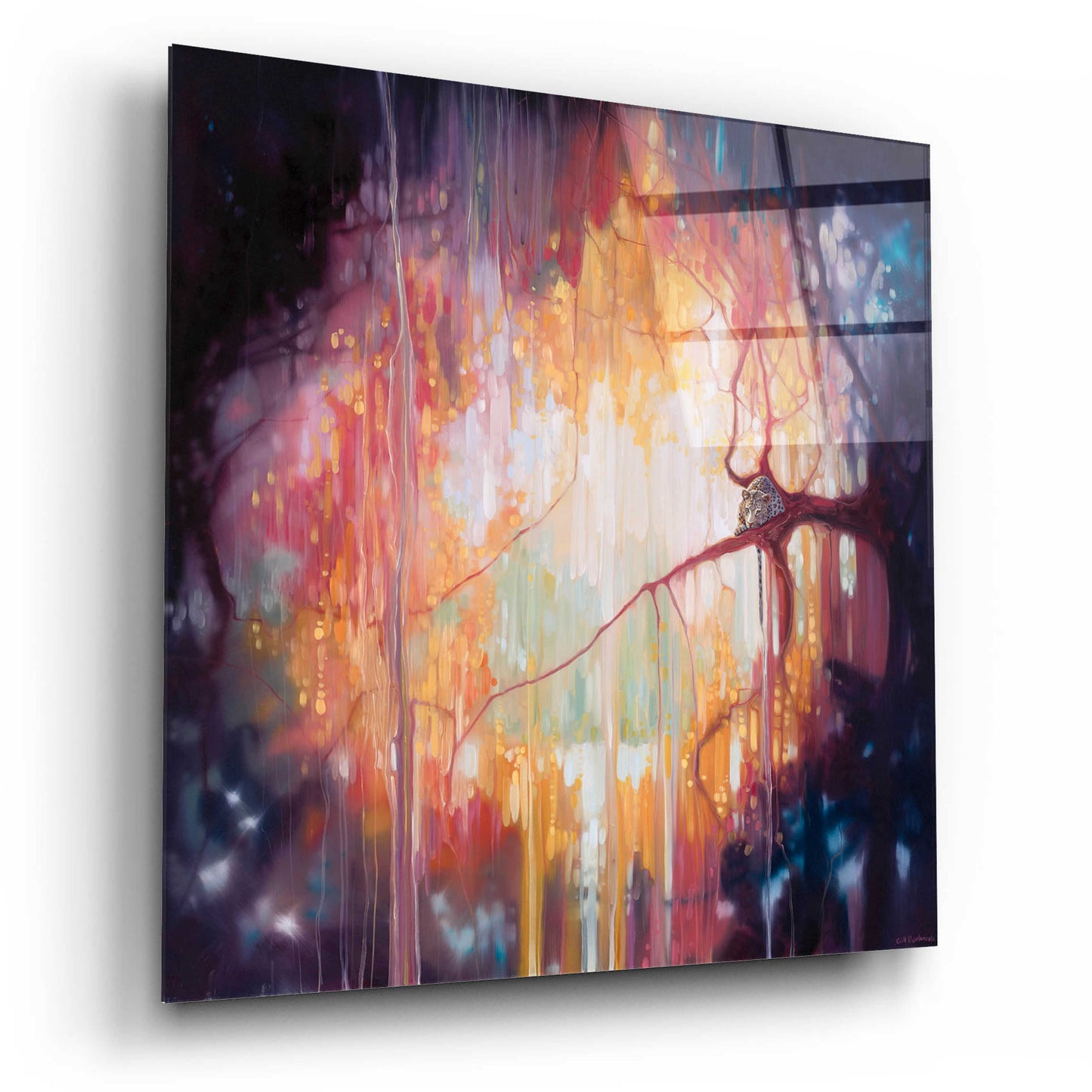 Epic Art 'Jungle Portal' by Gill Bustamante, Acrylic Glass Wall Art,12x12