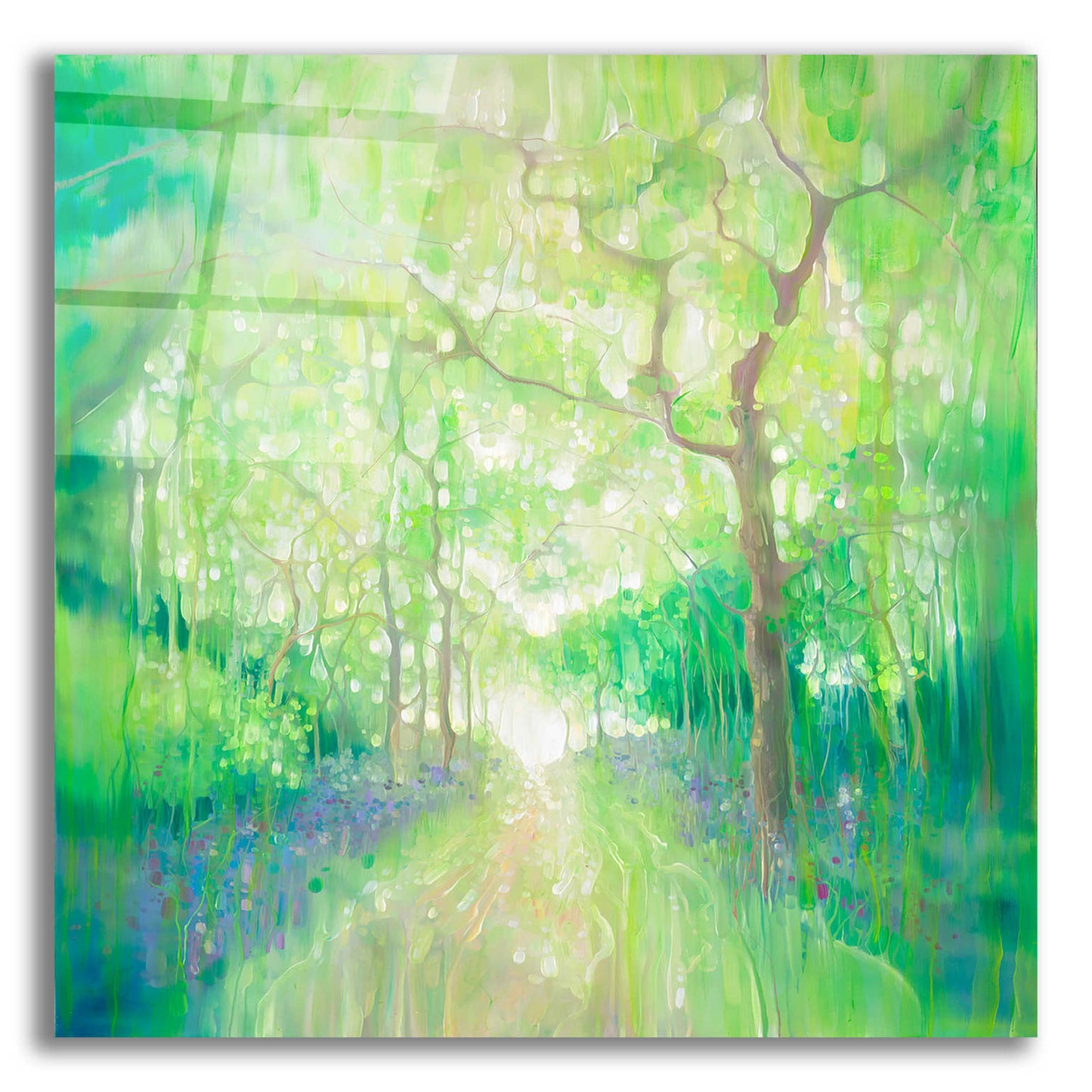 Epic Art 'Green Forest Calling' by Gill Bustamante, Acrylic Glass Wall Art,12x12