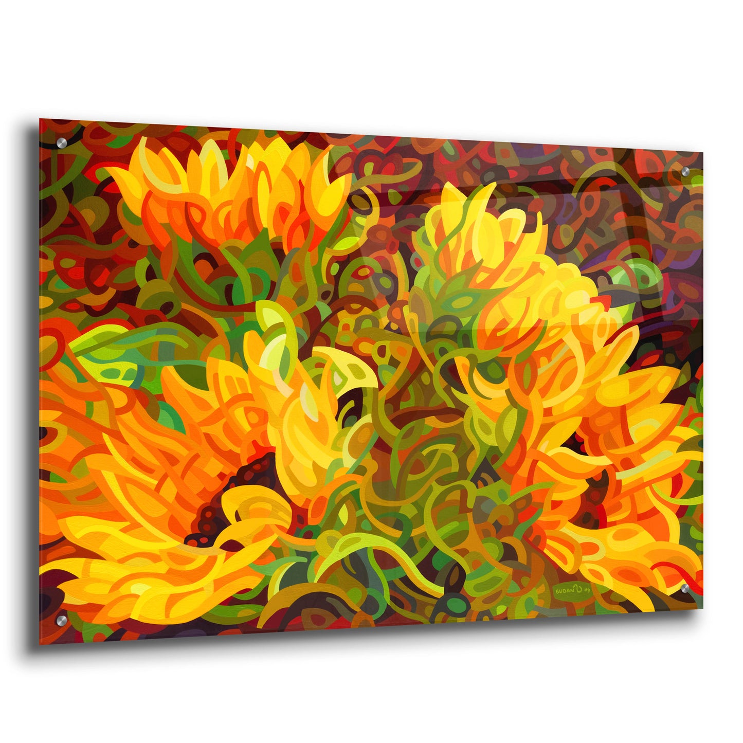 Epic Art 'Four Sunflowers' by Mandy Budan, Acrylic Glass Wall Art,36x24