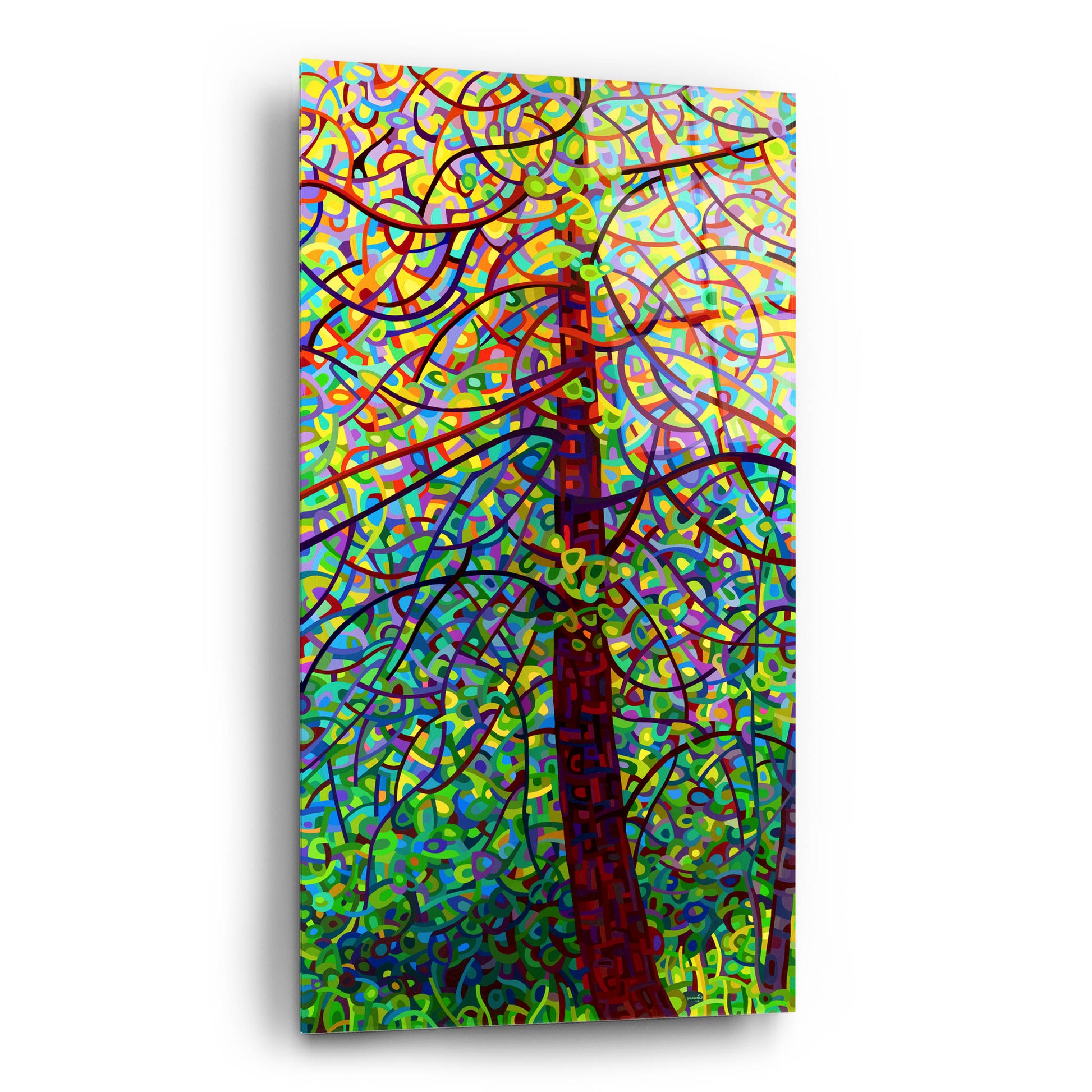 Epic Art 'Kaleidoscope' by Mandy Budan, Acrylic Glass Wall Art,12x24