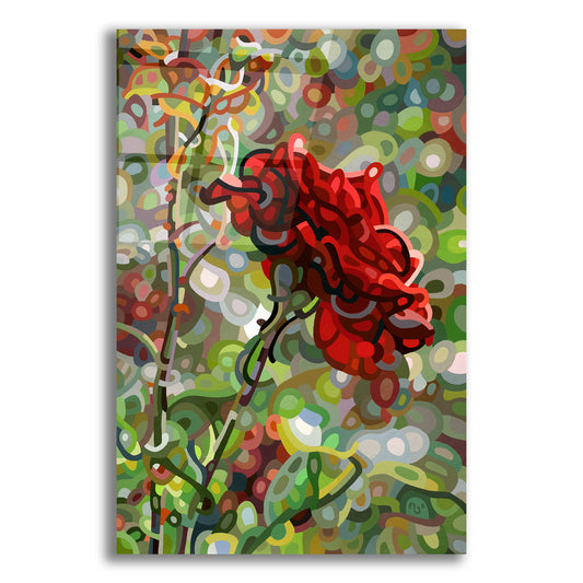 Epic Art 'Last Rose Of Summer' by Mandy Budan, Acrylic Glass Wall Art