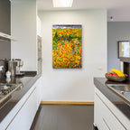 Epic Art 'Towards Autumn' by Mandy Budan, Acrylic Glass Wall Art,24x36