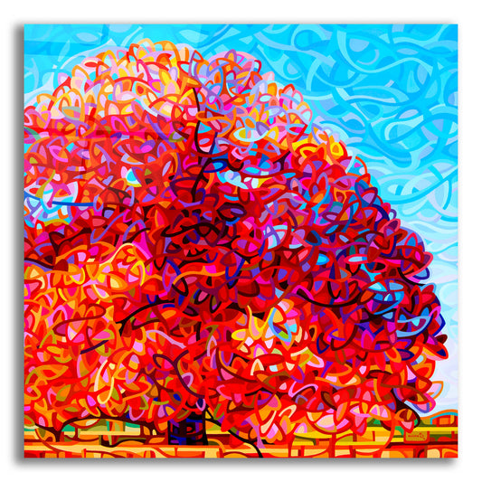 Epic Art 'Buddha Tree' by Mandy Budan, Acrylic Glass Wall Art