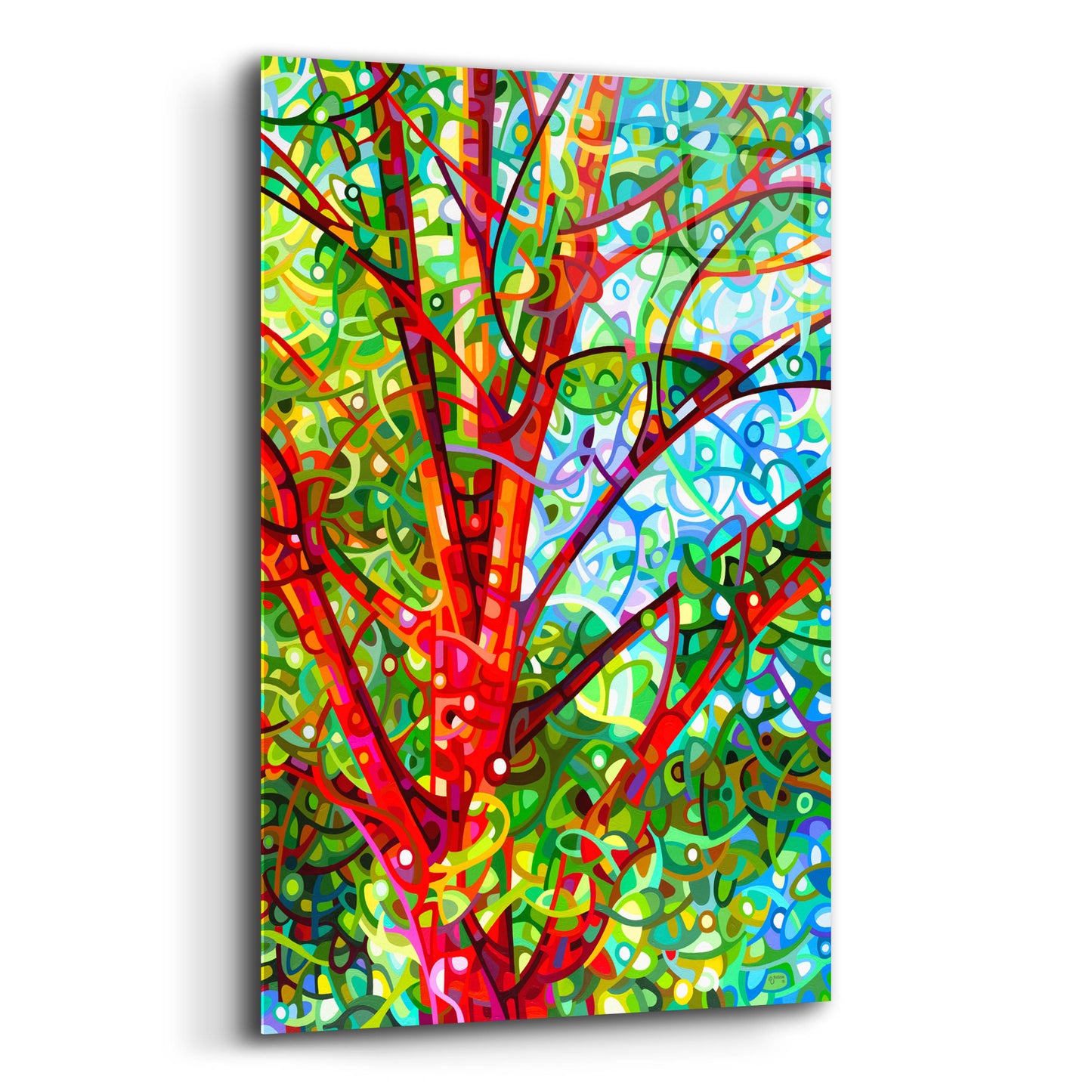 Epic Art 'Summer Medley' by Mandy Budan, Acrylic Glass Wall Art,12x16