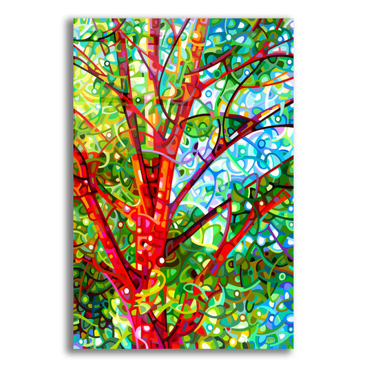 Epic Art 'Summer Medley' by Mandy Budan, Acrylic Glass Wall Art