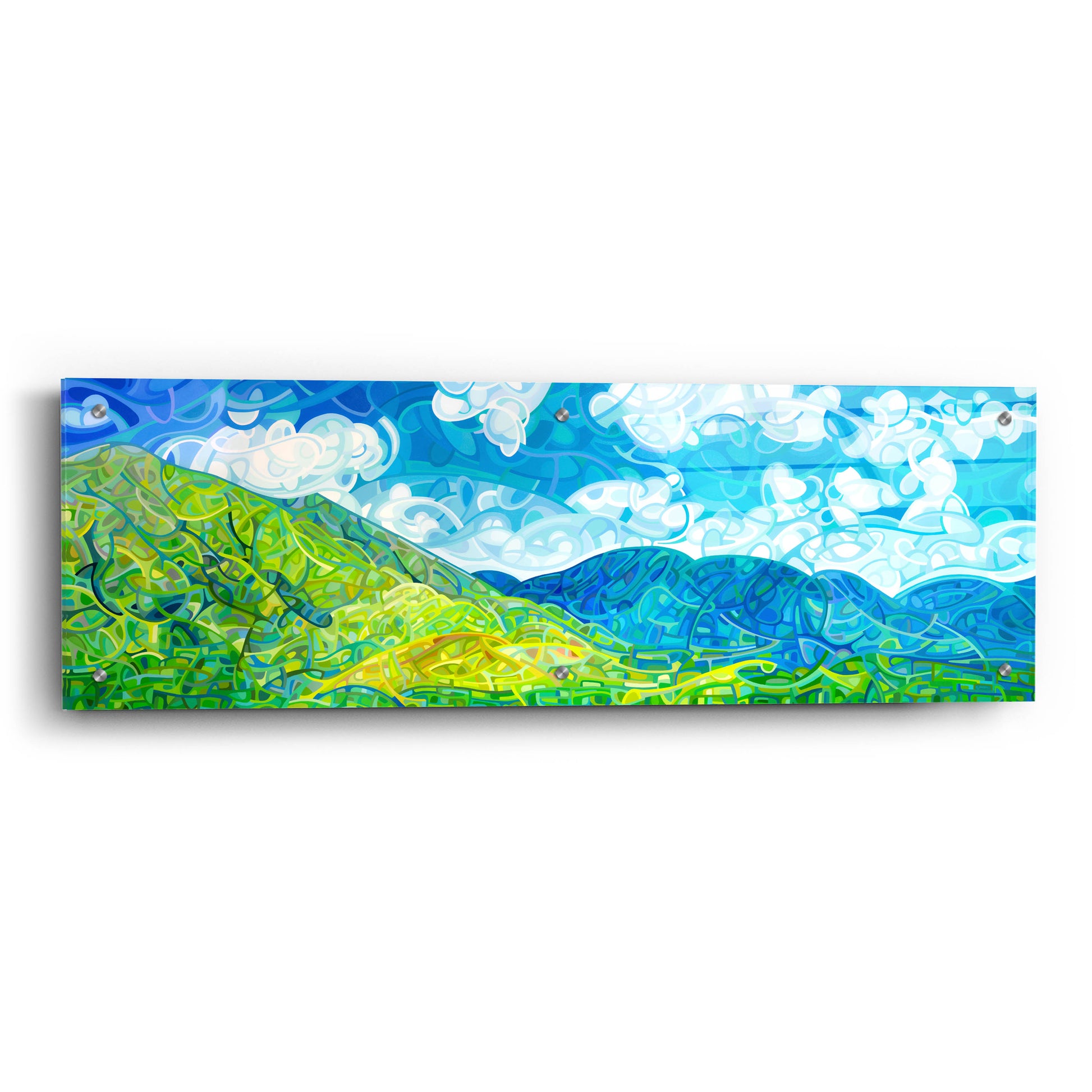 Epic Art 'Emerald Moments' by Mandy Budan, Acrylic Glass Wall Art,36x12