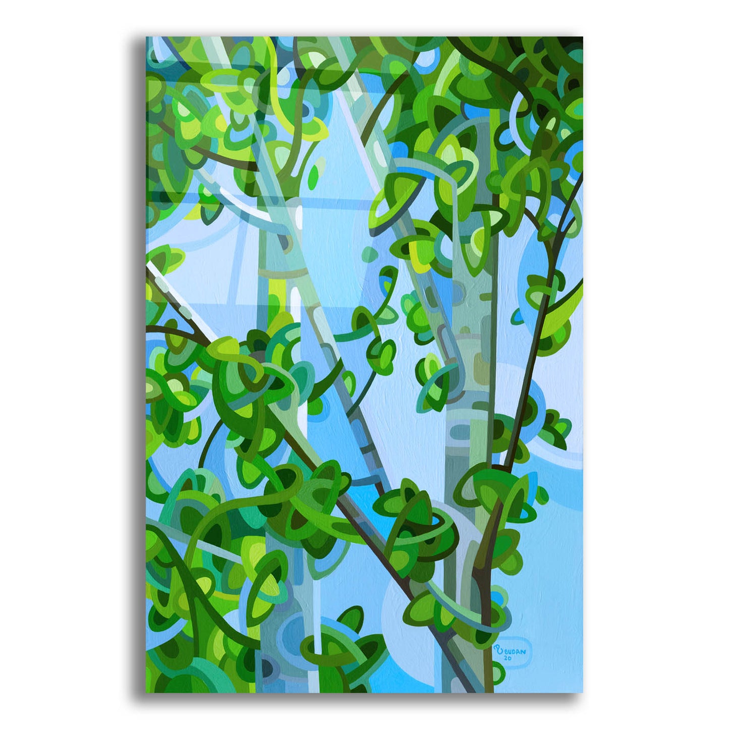 Epic Art 'Birch Light' by Mandy Budan, Acrylic Glass Wall Art,12x16