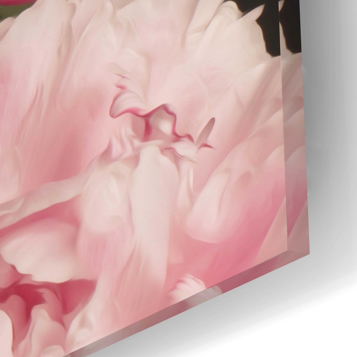 Epic Art 'Pink Petals' by Leah McLean, Acrylic Glass Wall Art,24x16