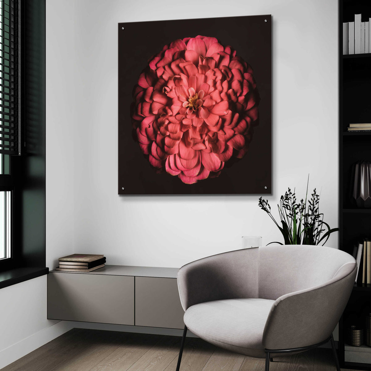 Epic Art 'Portrait of a Zinnia' by Leah McLean, Acrylic Glass Wall Art,36x36