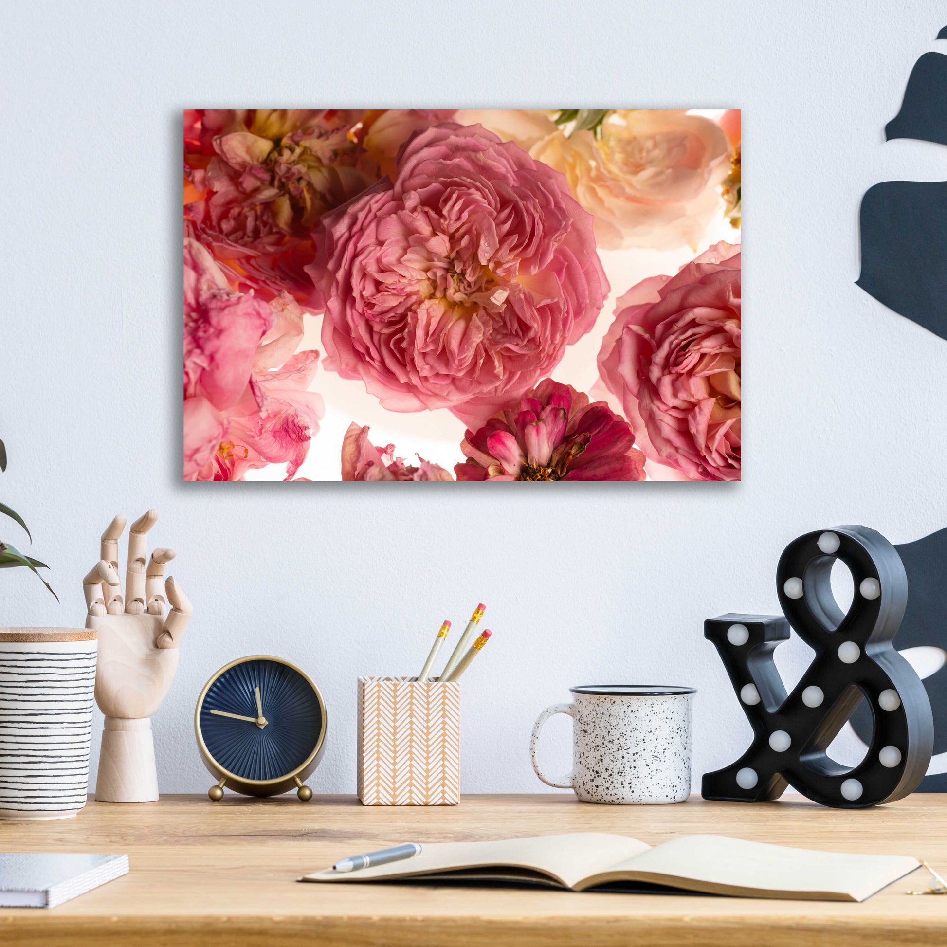 Epic Art 'Rose on White' by Leah McLean, Acrylic Glass Wall Art,16x12