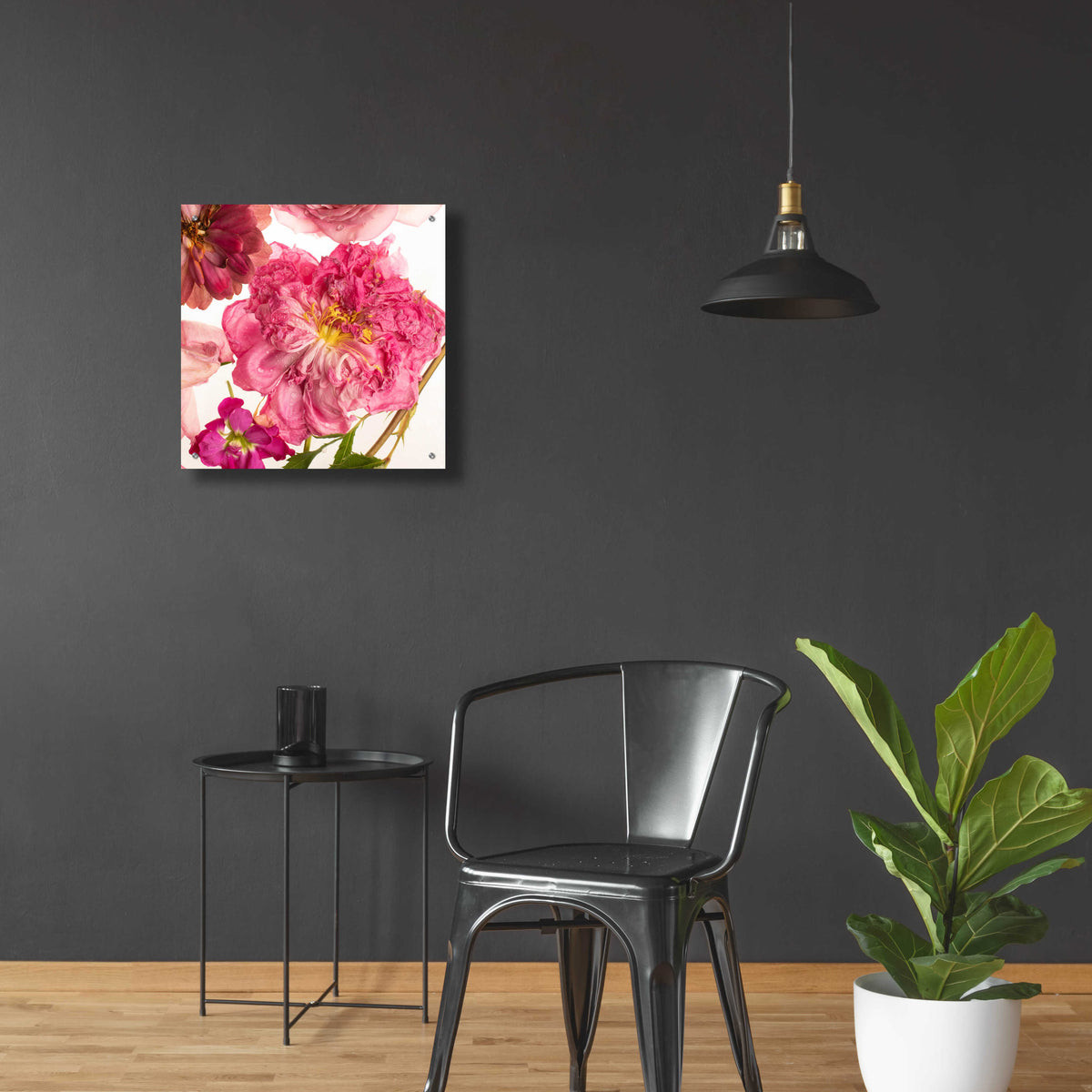 Epic Art 'Peony Dream on White' by Leah McLean, Acrylic Glass Wall Art,24x24
