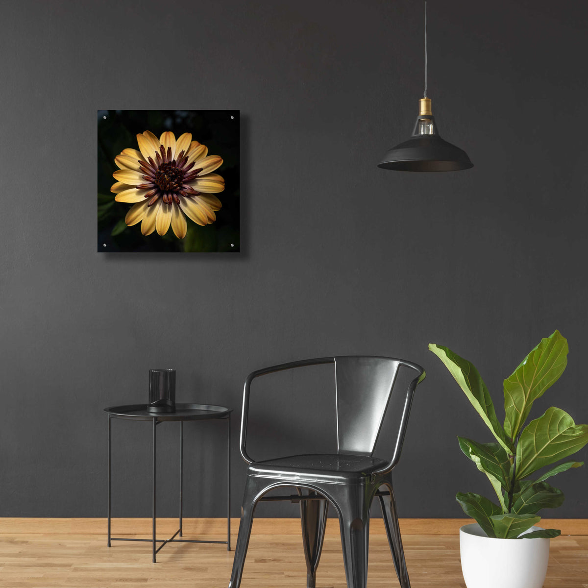 Epic Art 'Sunny Bloom' by Leah McLean, Acrylic Glass Wall Art,24x24
