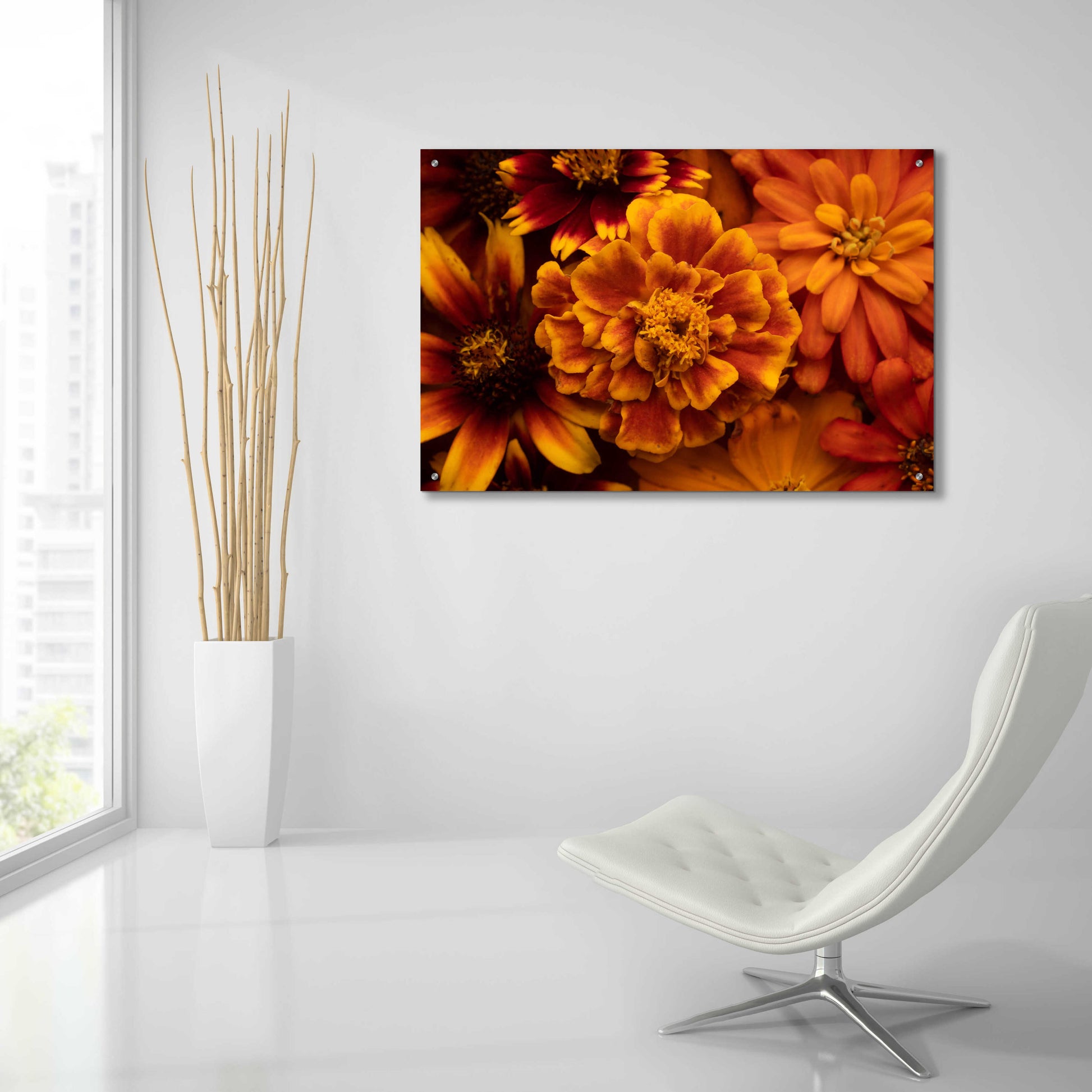 Epic Art 'Marigold Petals' by Leah McLean, Acrylic Glass Wall Art,36x24