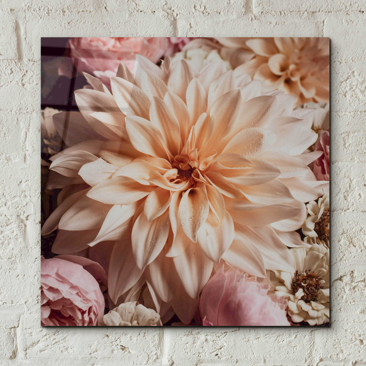 Epic Art 'Dahlia Whimsy' by Leah McLean, Acrylic Glass Wall Art,12x12