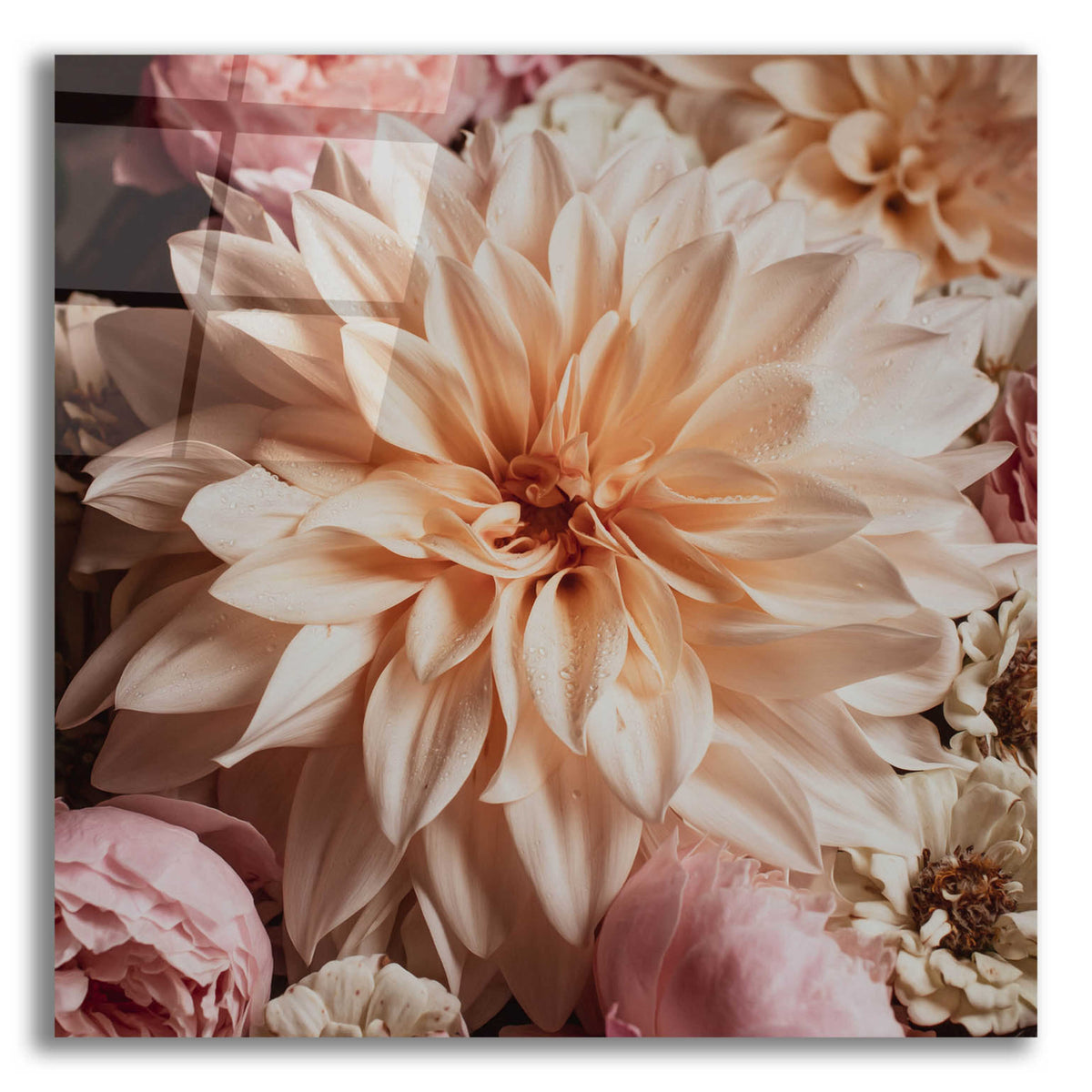Epic Art 'Dahlia Whimsy' by Leah McLean, Acrylic Glass Wall Art