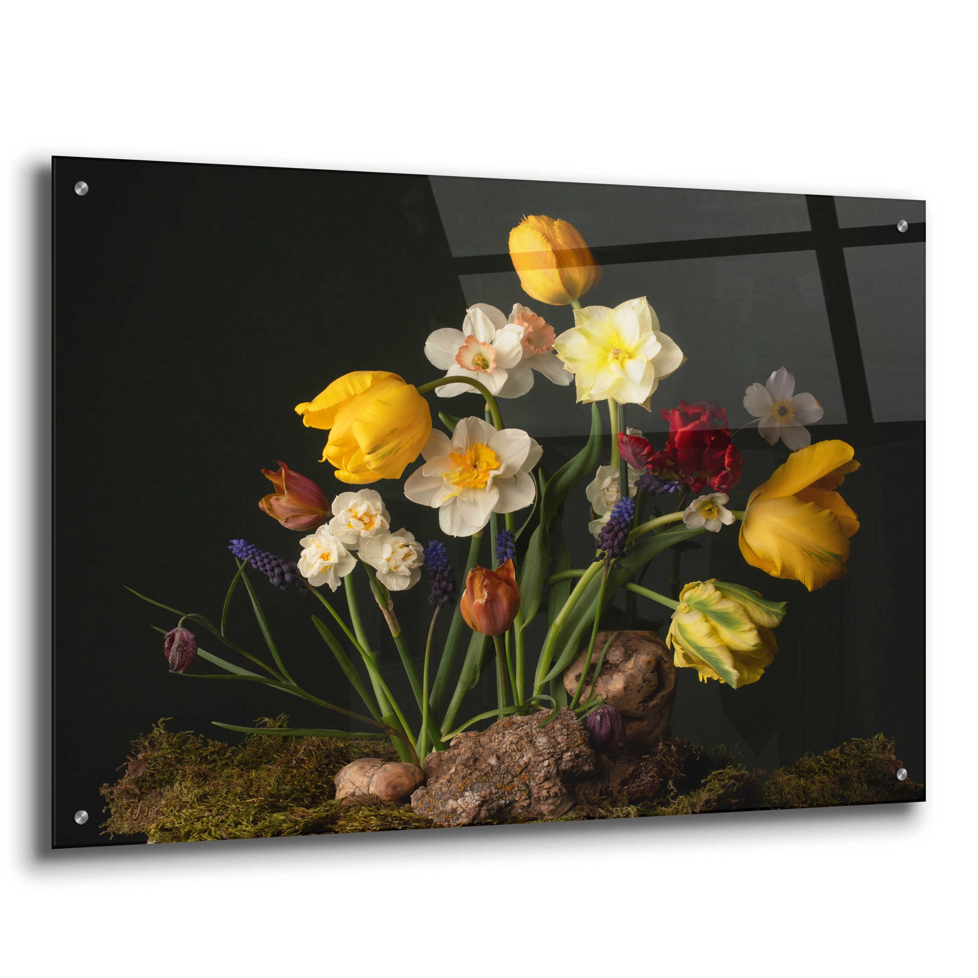 Epic Art 'Sunny Spring Bounty' by Leah McLean, Acrylic Glass Wall Art,36x24