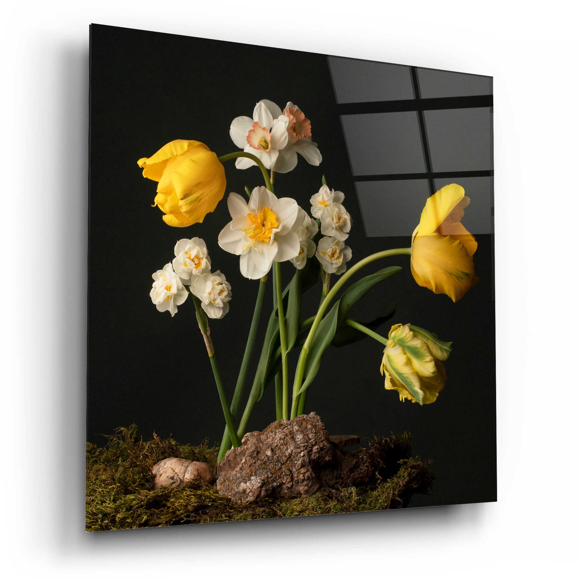 Epic Art 'Signs of Spring' by Leah McLean, Acrylic Glass Wall Art,12x12