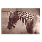 Epic Art 'weave' by Susan Friedman, Acrylic Glass Wall Art