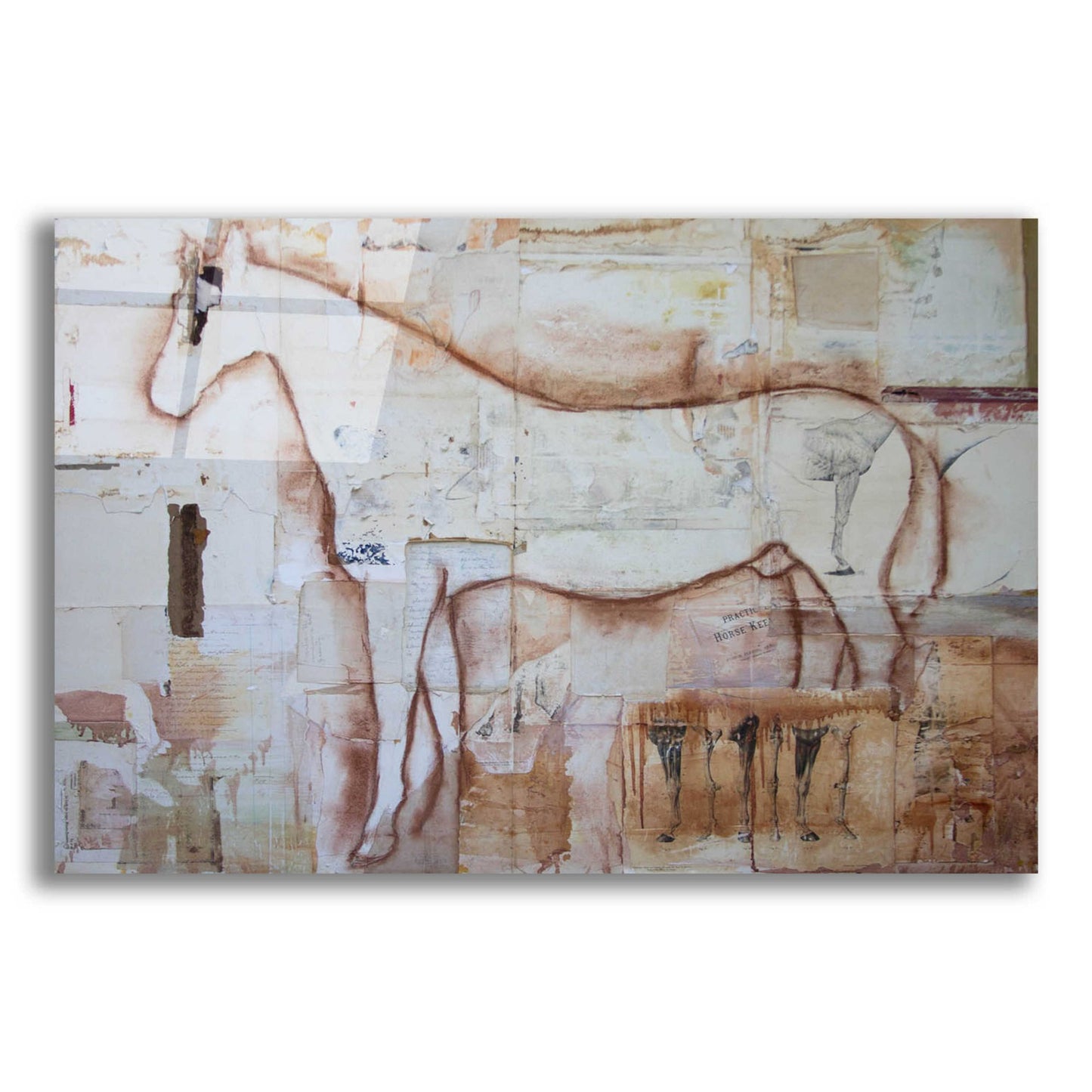 Epic Art 'Practical horse keeper' by Susan Friedman, Acrylic Glass Wall Art,16x12