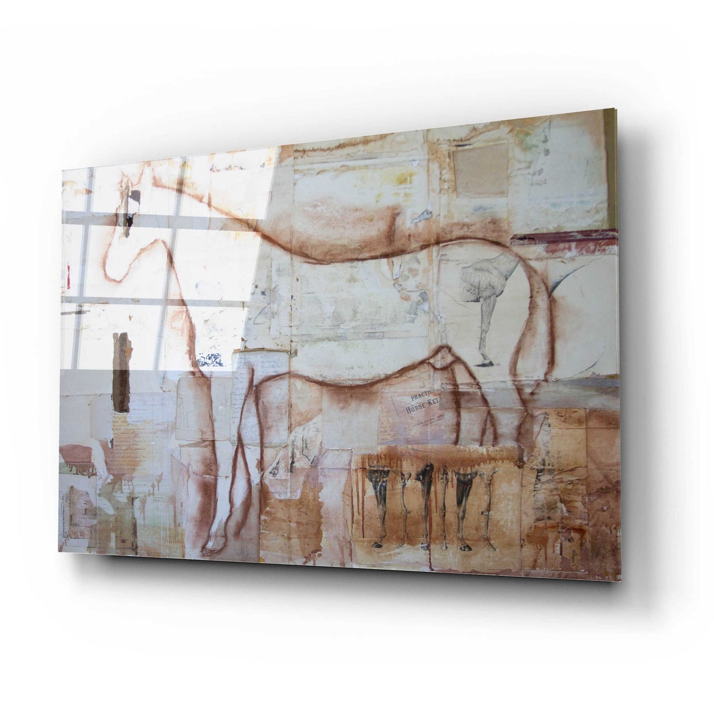 Epic Art 'Practical horse keeper' by Susan Friedman, Acrylic Glass Wall Art,24x16