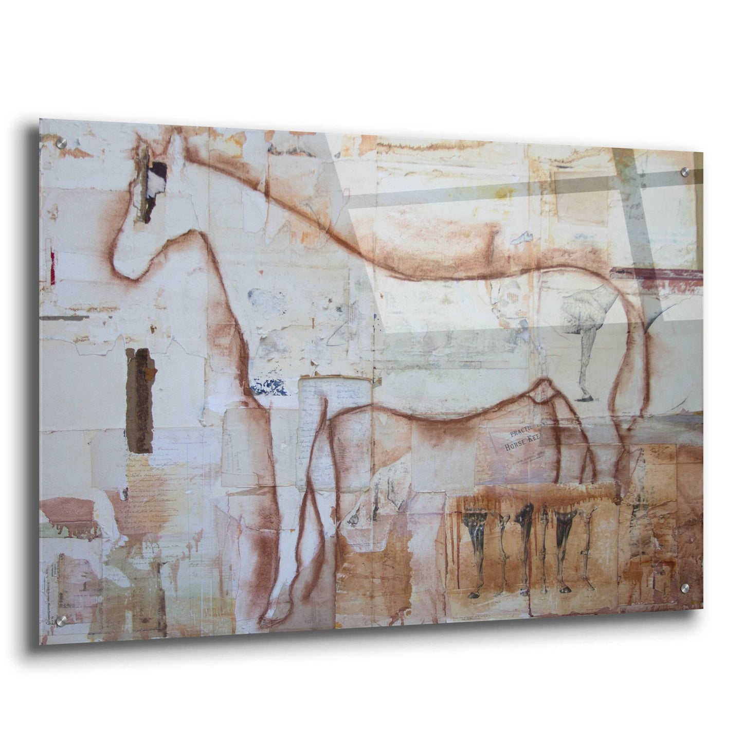 Epic Art 'Practical horse keeper' by Susan Friedman, Acrylic Glass Wall Art,36x24