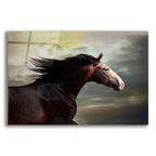 Epic Art 'coral da Broa' by Susan Friedman, Acrylic Glass Wall Art