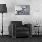 Epic Art 'grey on grey' by Susan Friedman, Acrylic Glass Wall Art,24x16