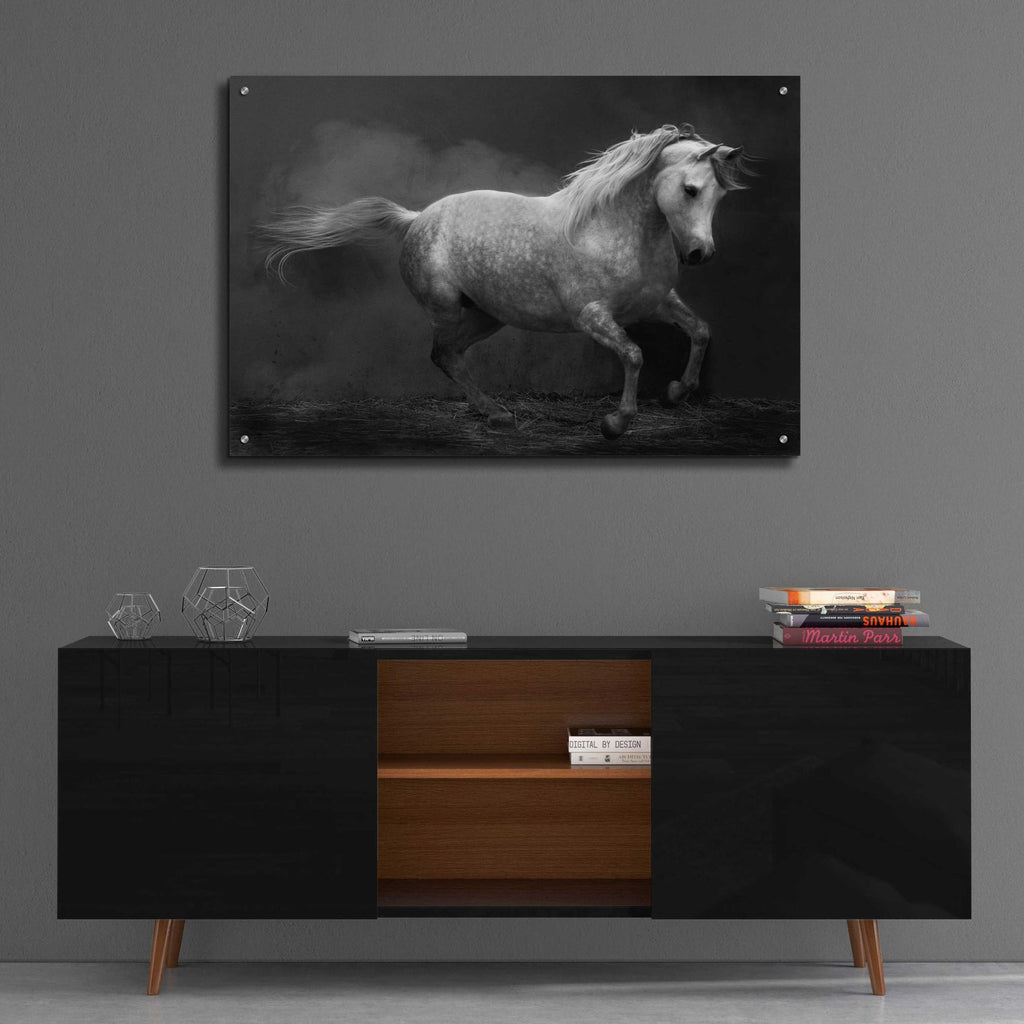 Epic Art 'Morocco barb' by Susan Friedman, Acrylic Glass Wall Art,36x24