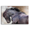 Epic Art 'zandocan' by Susan Friedman, Acrylic Glass Wall Art