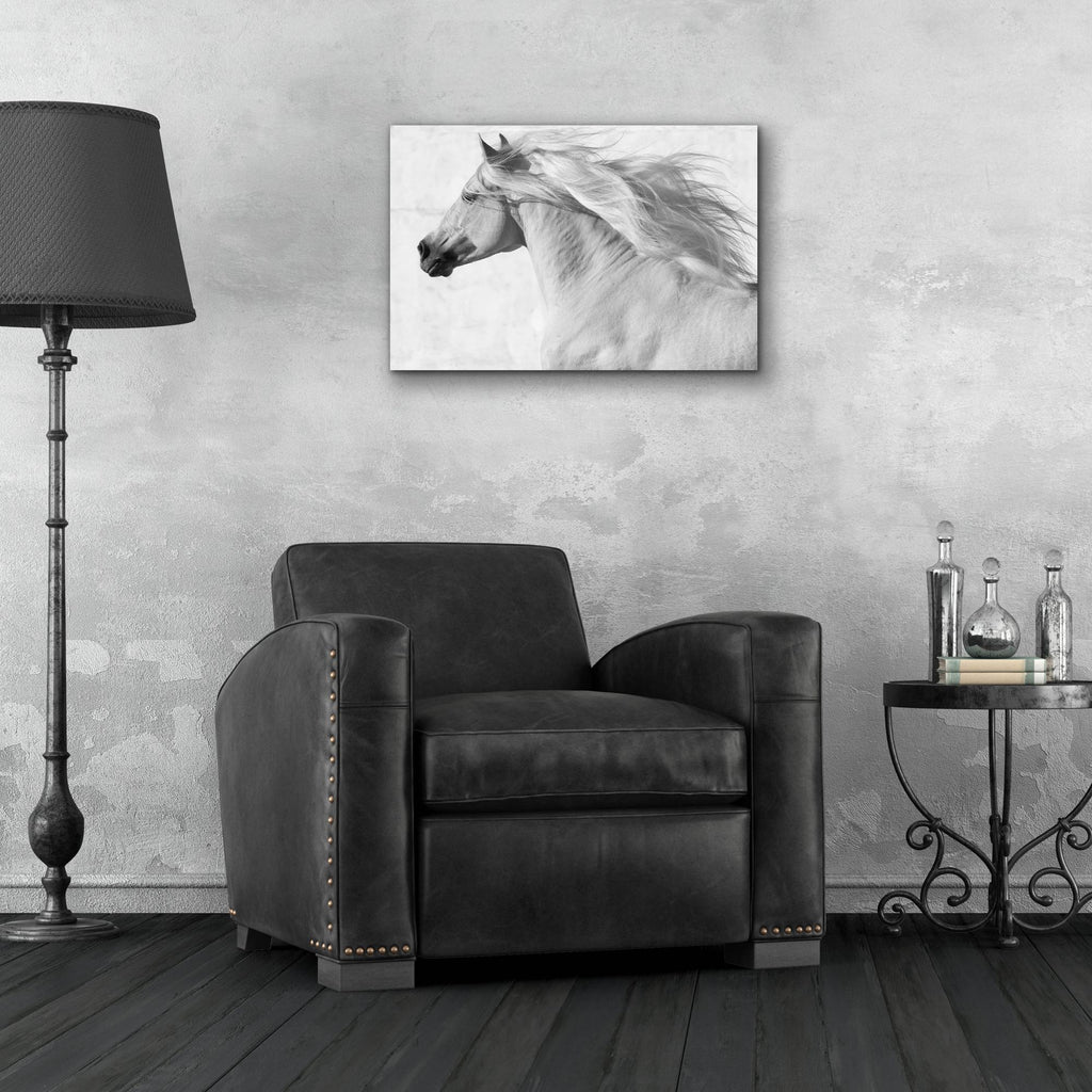 Epic Art 'Coudelaria de Villa Vicosa ' by Susan Friedman, Acrylic Glass Wall Art,24x16