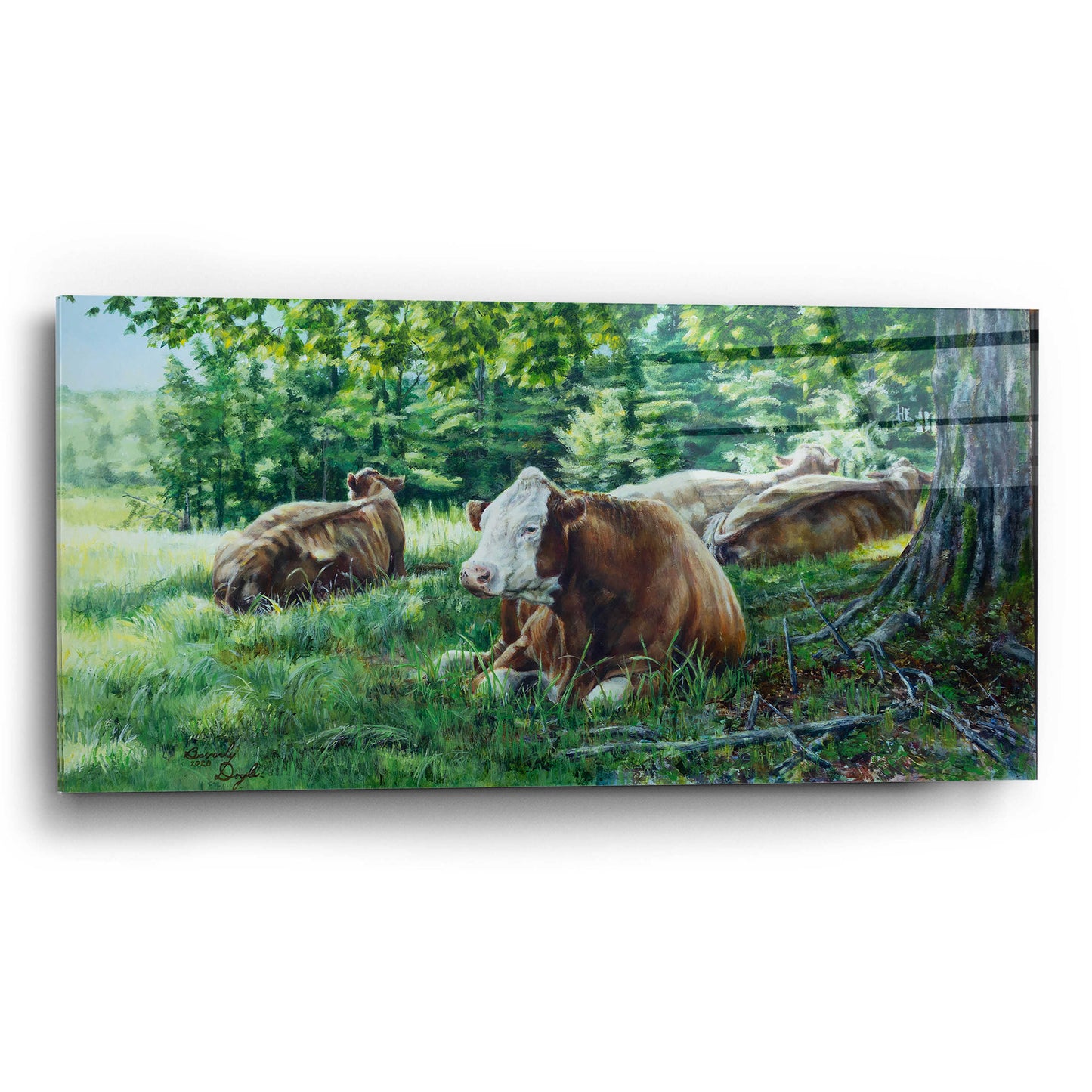 Epic Art 'Cows In Shade' by Beverly Doyle, Acrylic Glass Wall Art,24x12