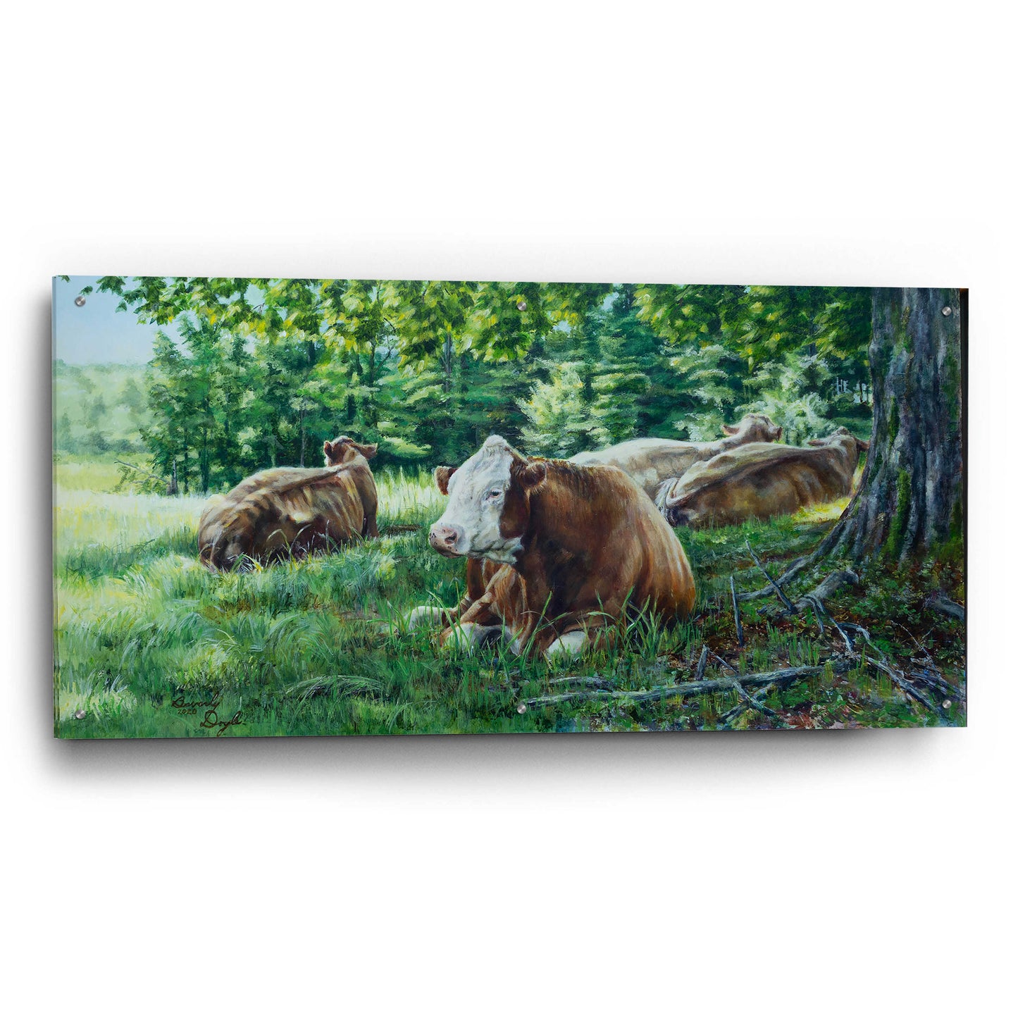 Epic Art 'Cows In Shade' by Beverly Doyle, Acrylic Glass Wall Art,48x24