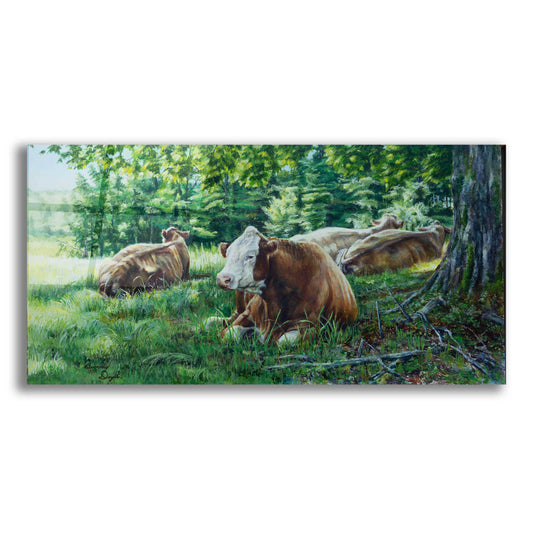 Epic Art 'Cows In Shade' by Beverly Doyle, Acrylic Glass Wall Art