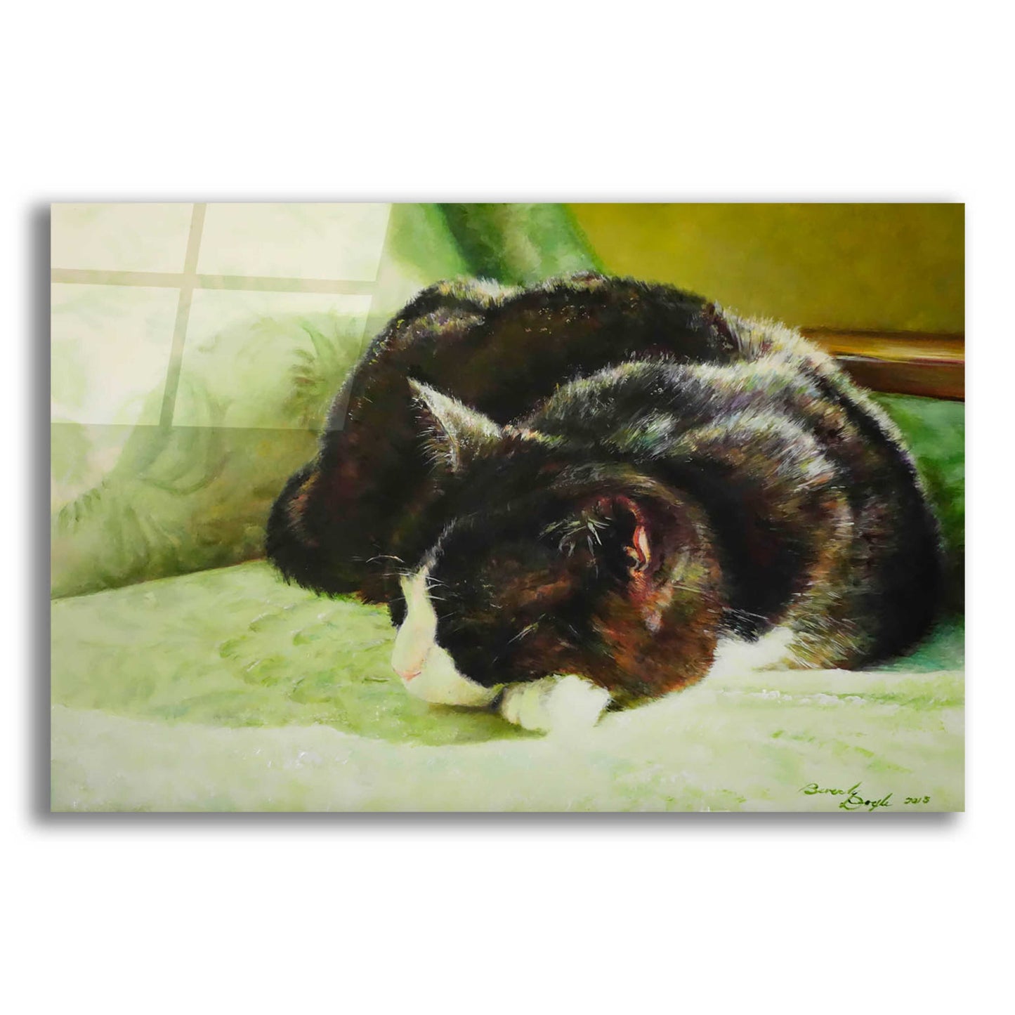 Epic Art 'Sunlit Nap' by Beverly Doyle, Acrylic Glass Wall Art