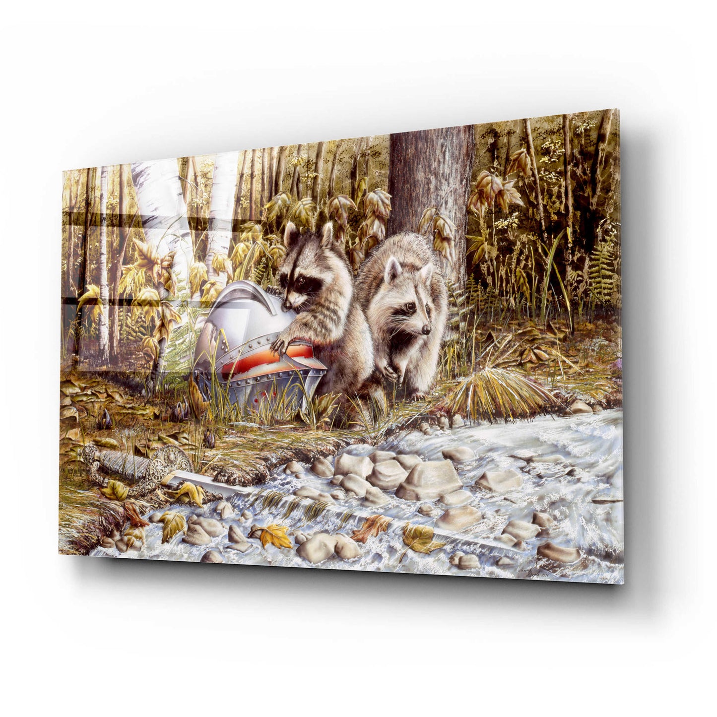 Epic Art 'Raccoons' by Beverly Doyle, Acrylic Glass Wall Art,24x16