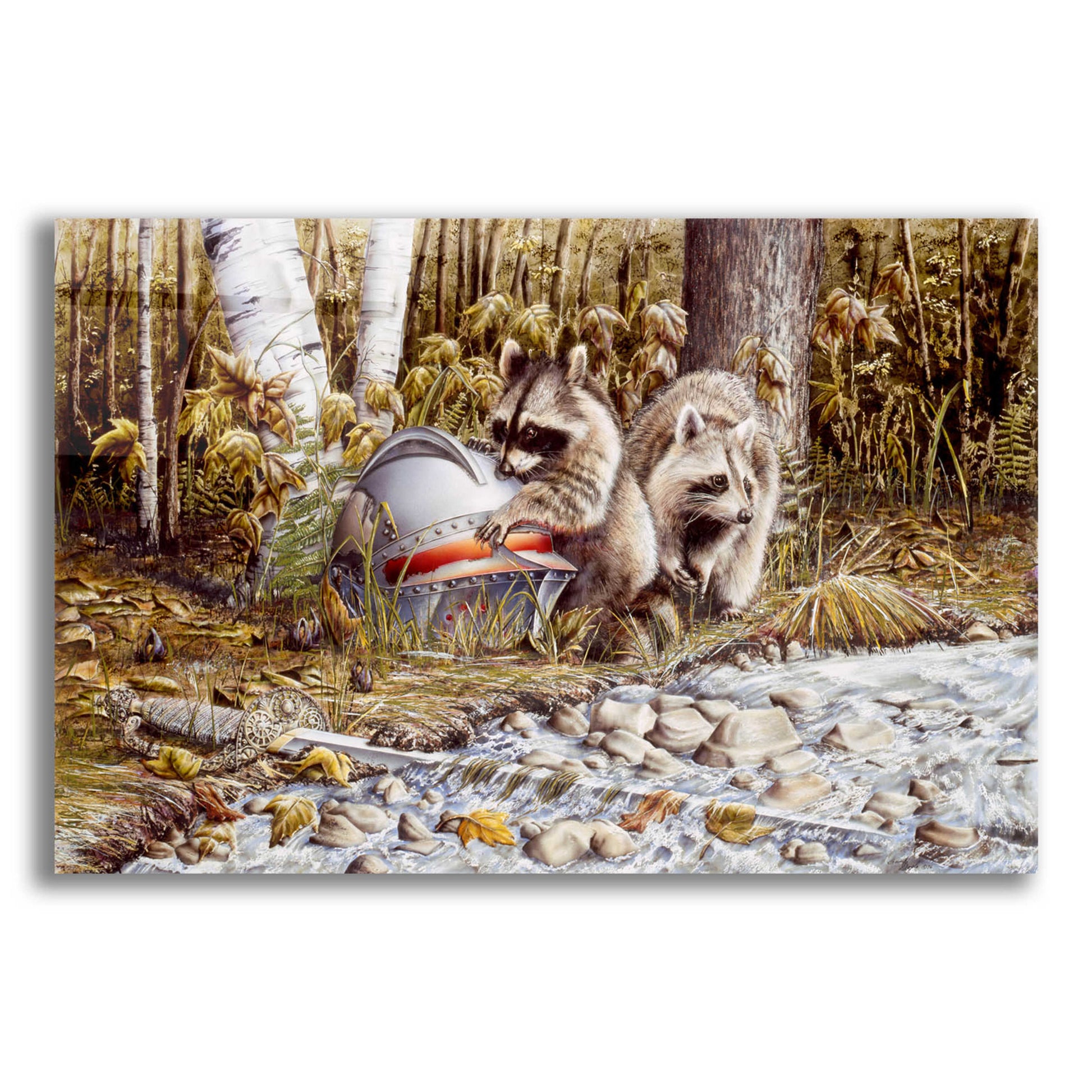 Epic Art 'Raccoons' by Beverly Doyle, Acrylic Glass Wall Art,24x16