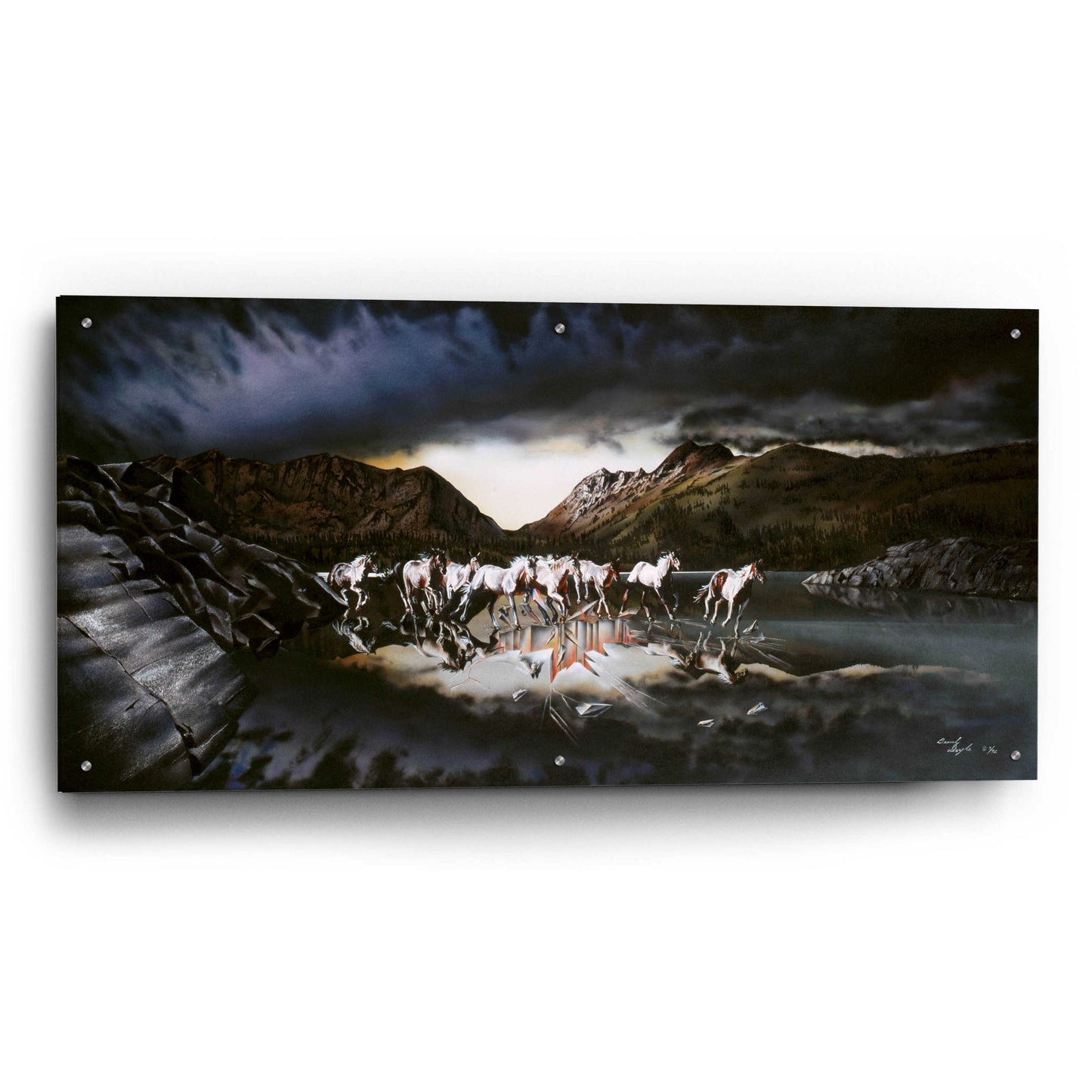 Epic Art 'Mustangs' by Beverly Doyle, Acrylic Glass Wall Art,48x24