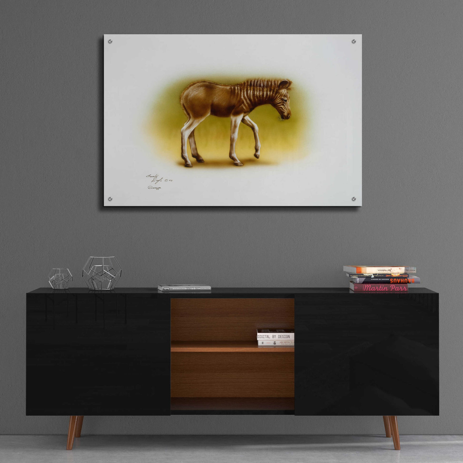 Epic Art 'Zebra Colt' by Beverly Doyle, Acrylic Glass Wall Art,36x24