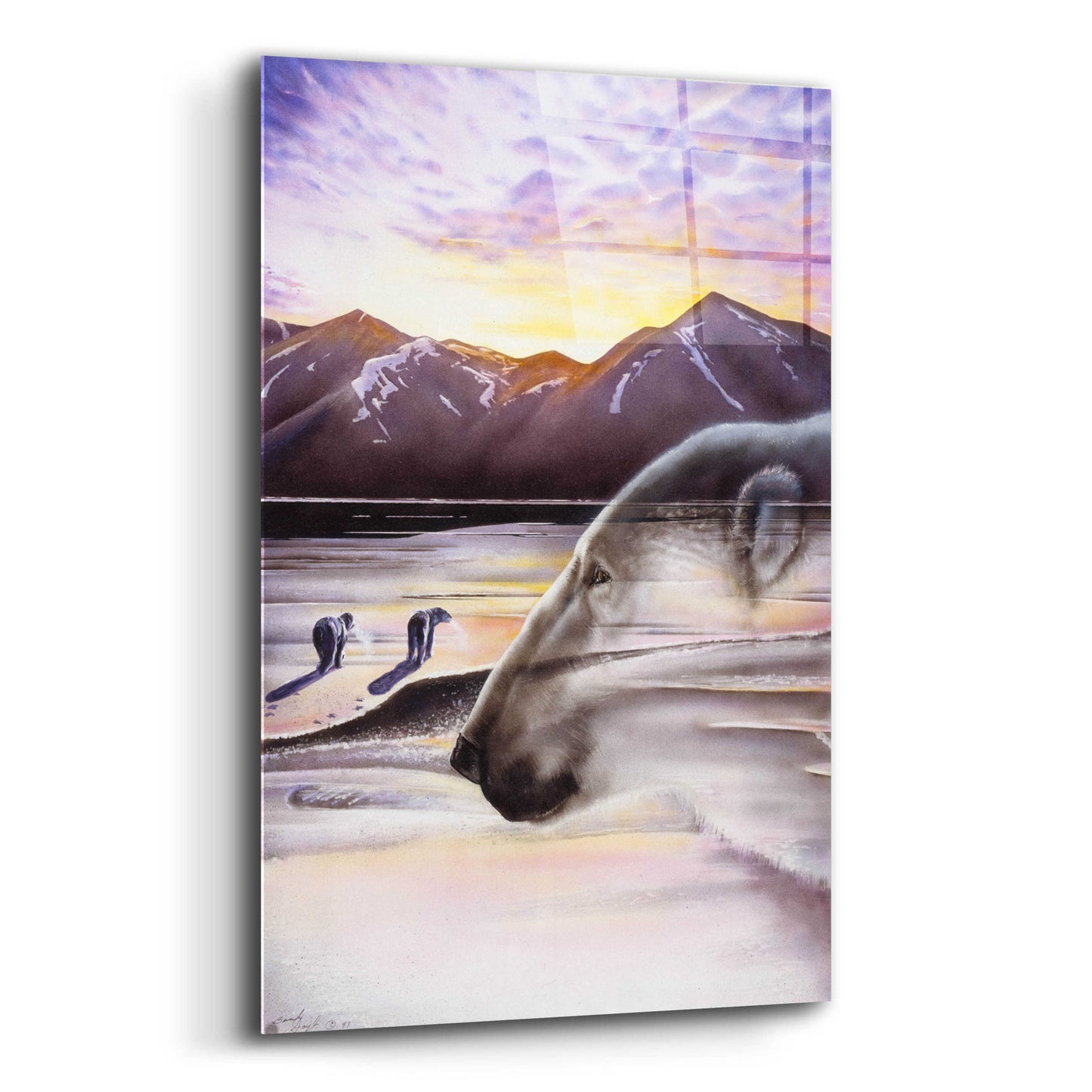 Epic Art 'Polar Bears' by Beverly Doyle, Acrylic Glass Wall Art,12x16