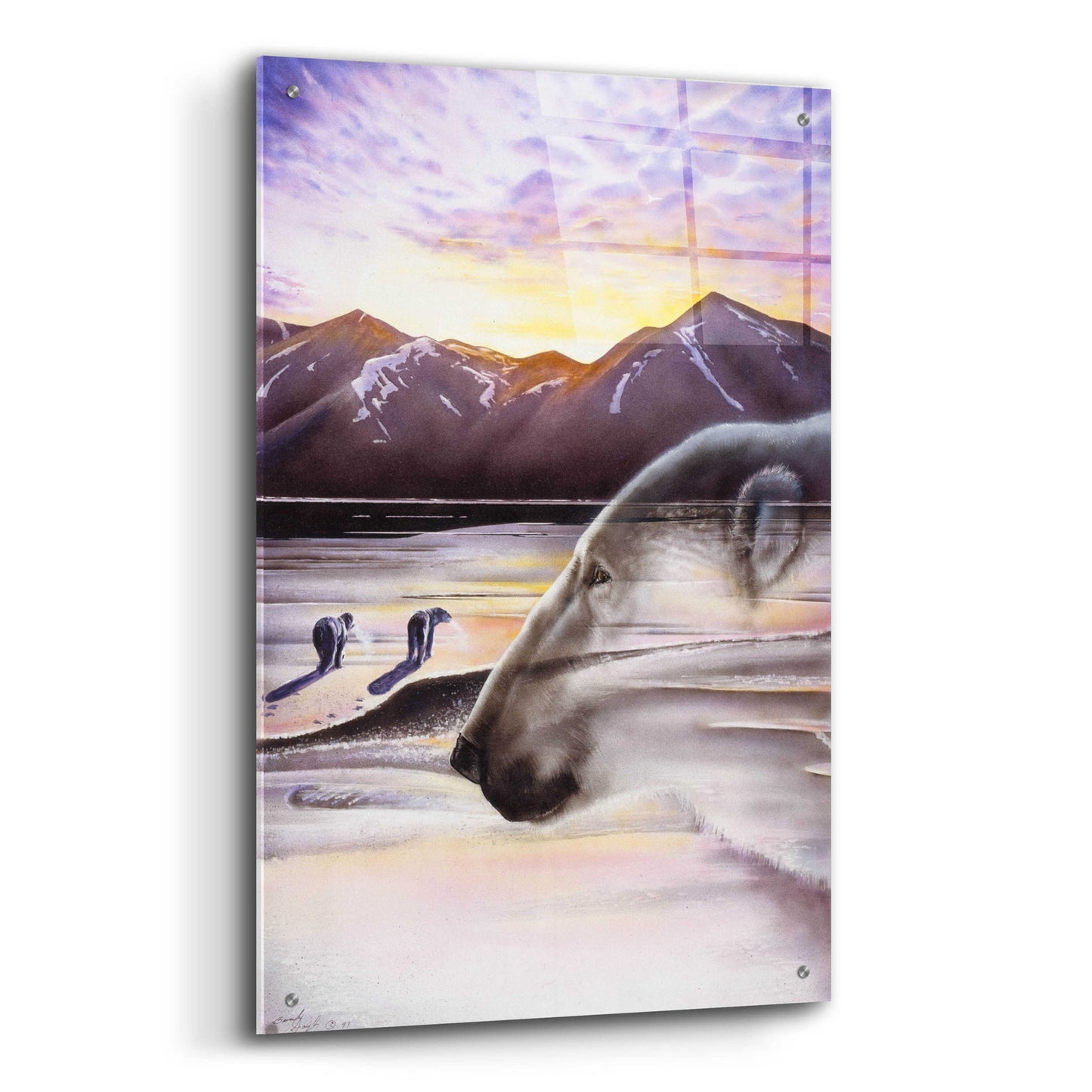 Epic Art 'Polar Bears' by Beverly Doyle, Acrylic Glass Wall Art,24x36
