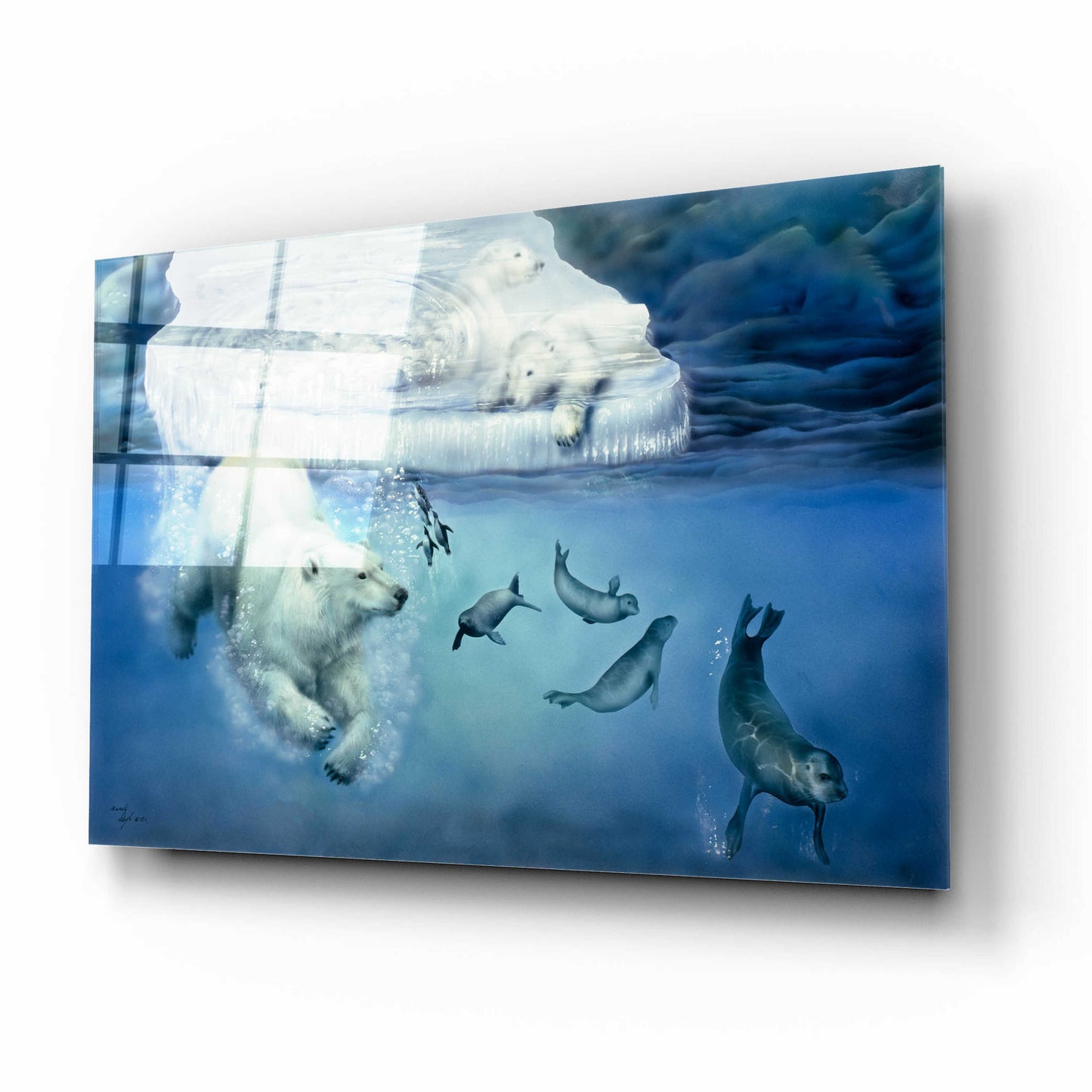 Epic Art 'Polar Bears & Seals' by Beverly Doyle, Acrylic Glass Wall Art,16x12